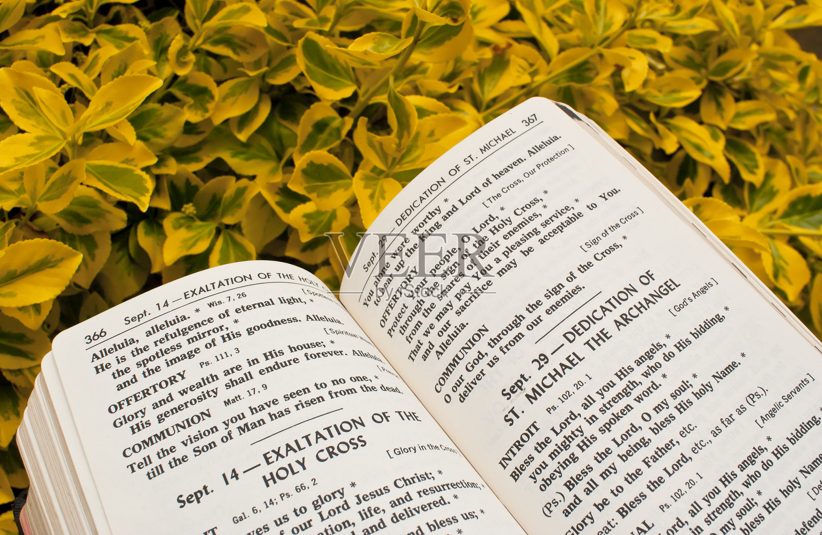 高举神圣的十字架照片摄影图片