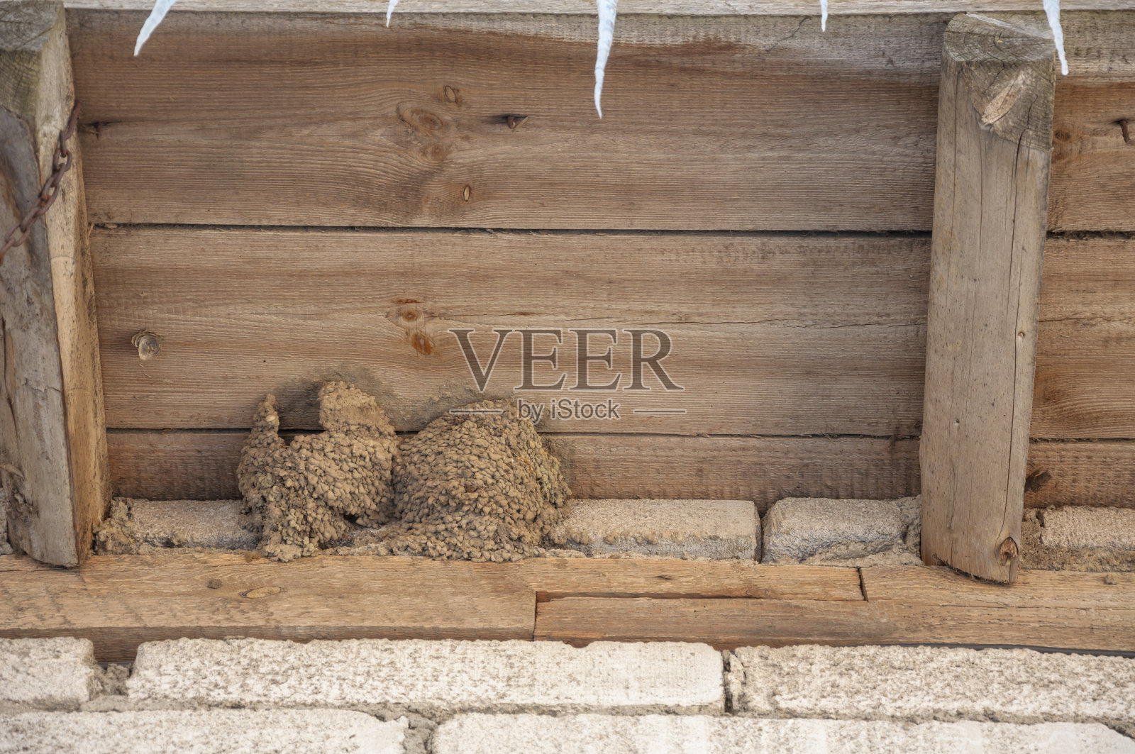 屋顶下的鸟巢照片摄影图片