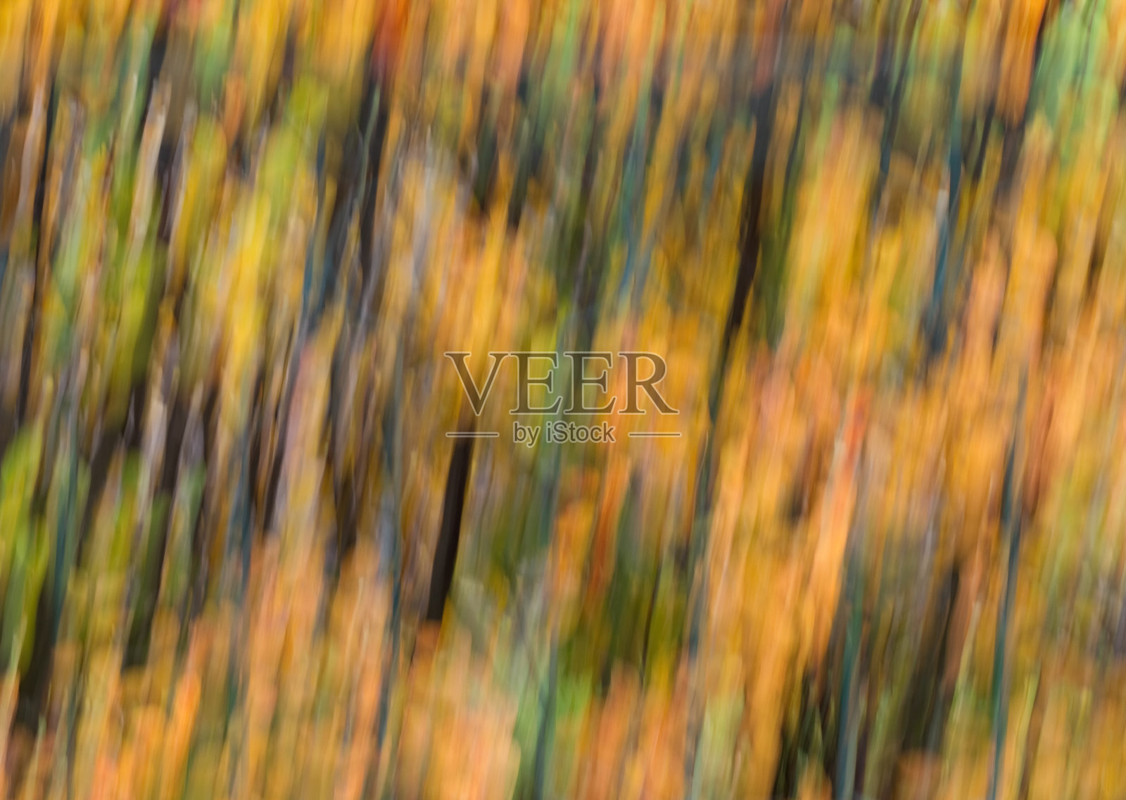 秋天的颜色背景。照片摄影图片