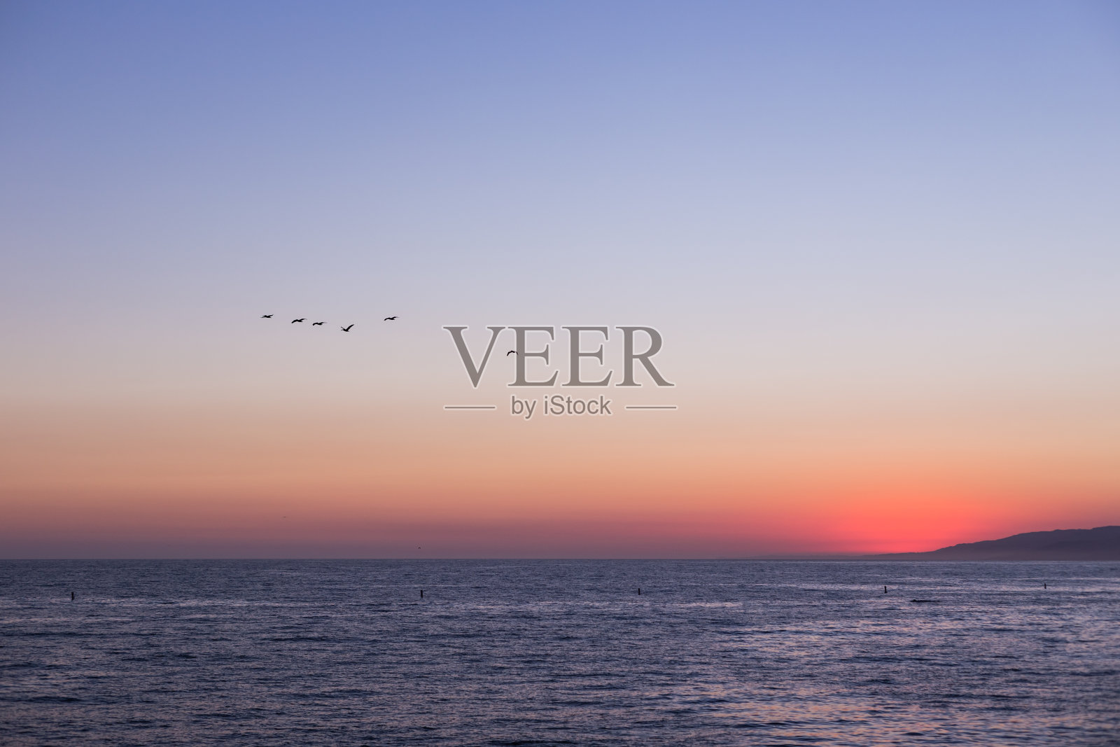 圣塔莫尼卡的日落和海鸥照片摄影图片