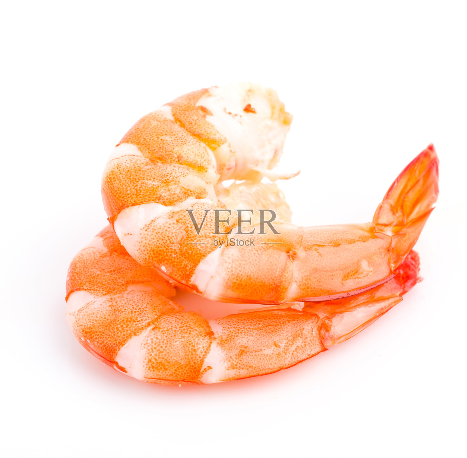 虾照片摄影图片