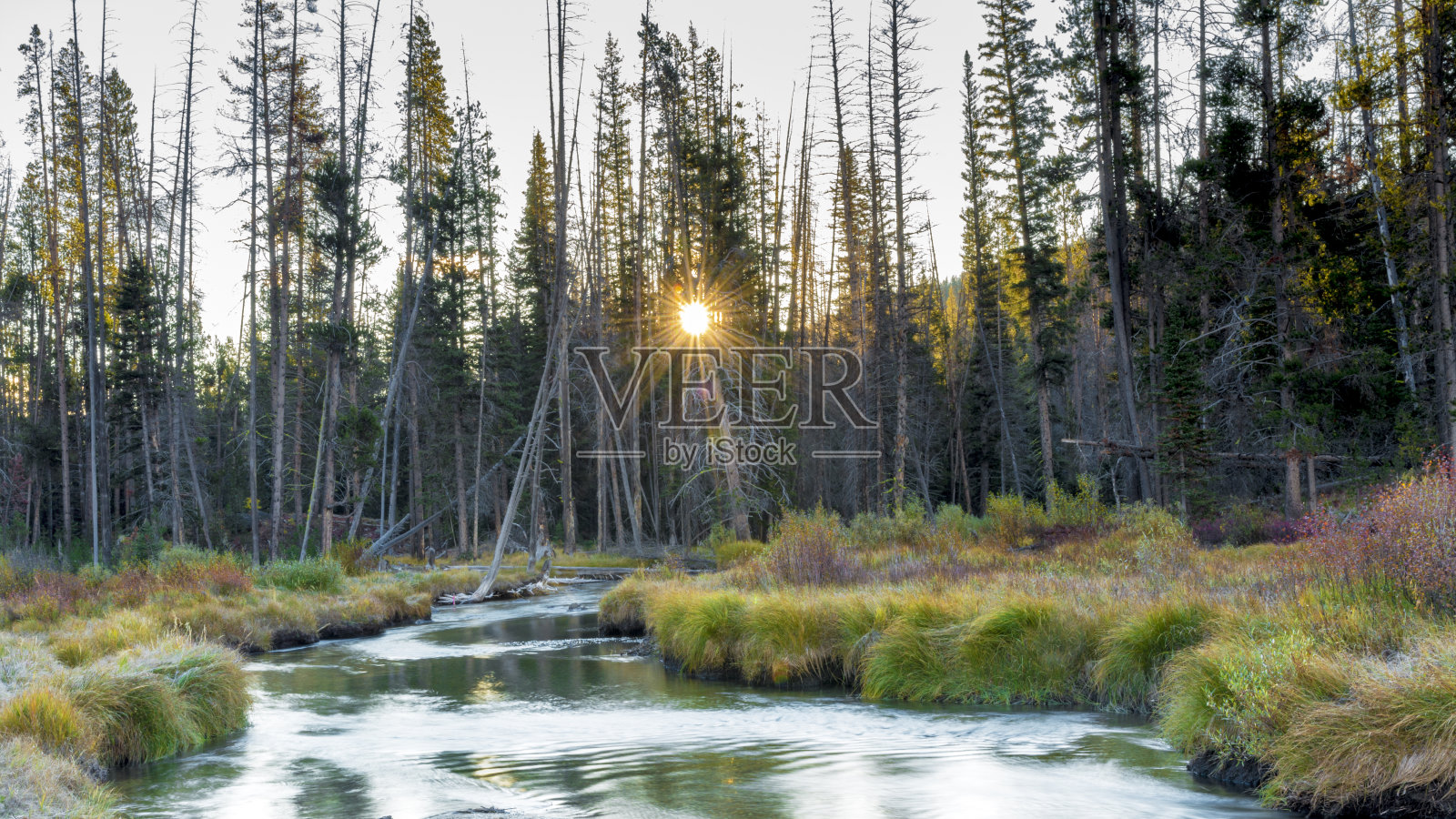 秋天山间小溪上的日出照片摄影图片