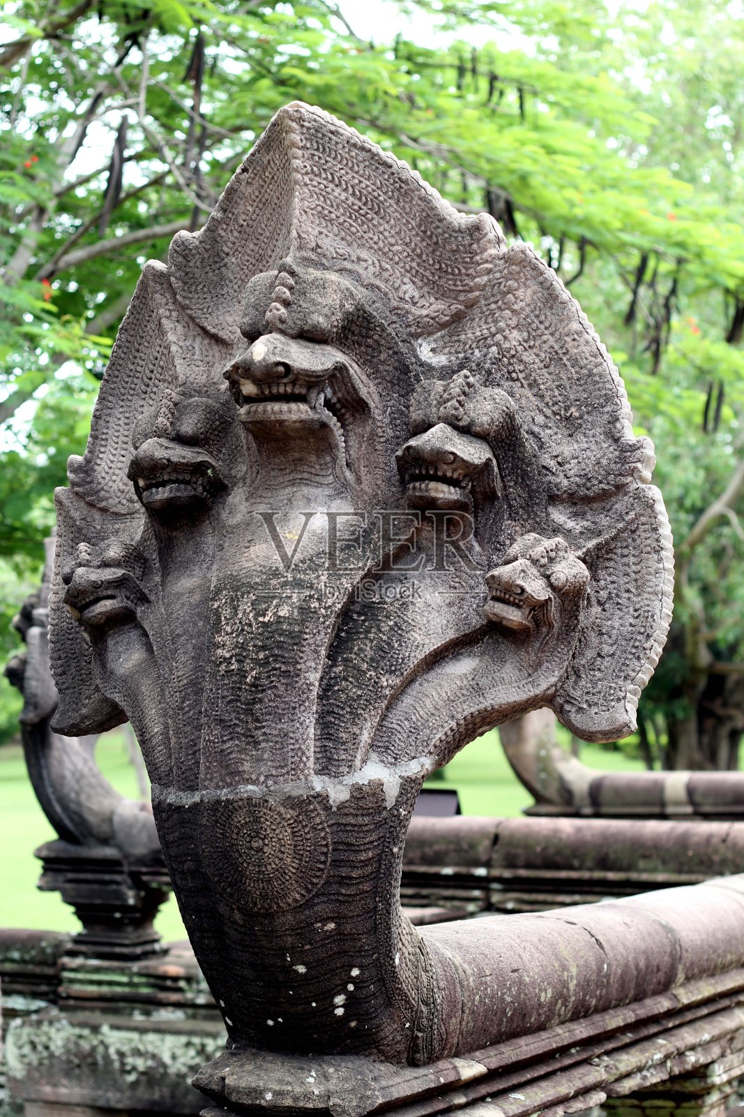 石蛇。照片摄影图片