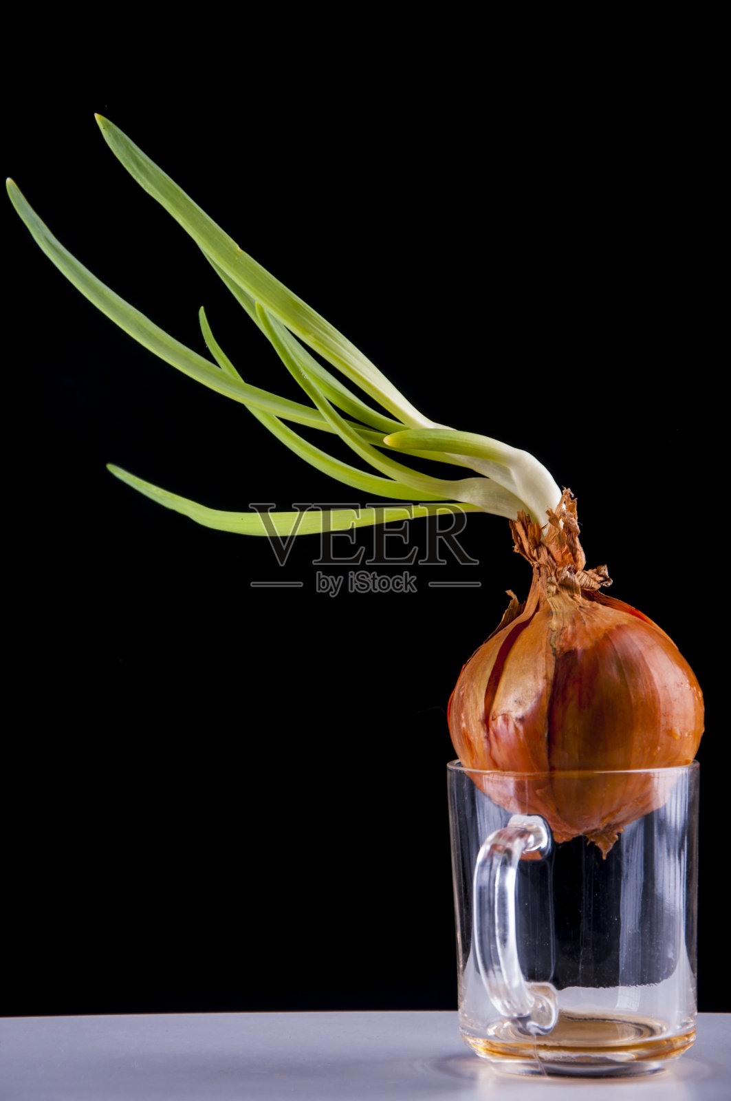 洋葱叶子照片摄影图片