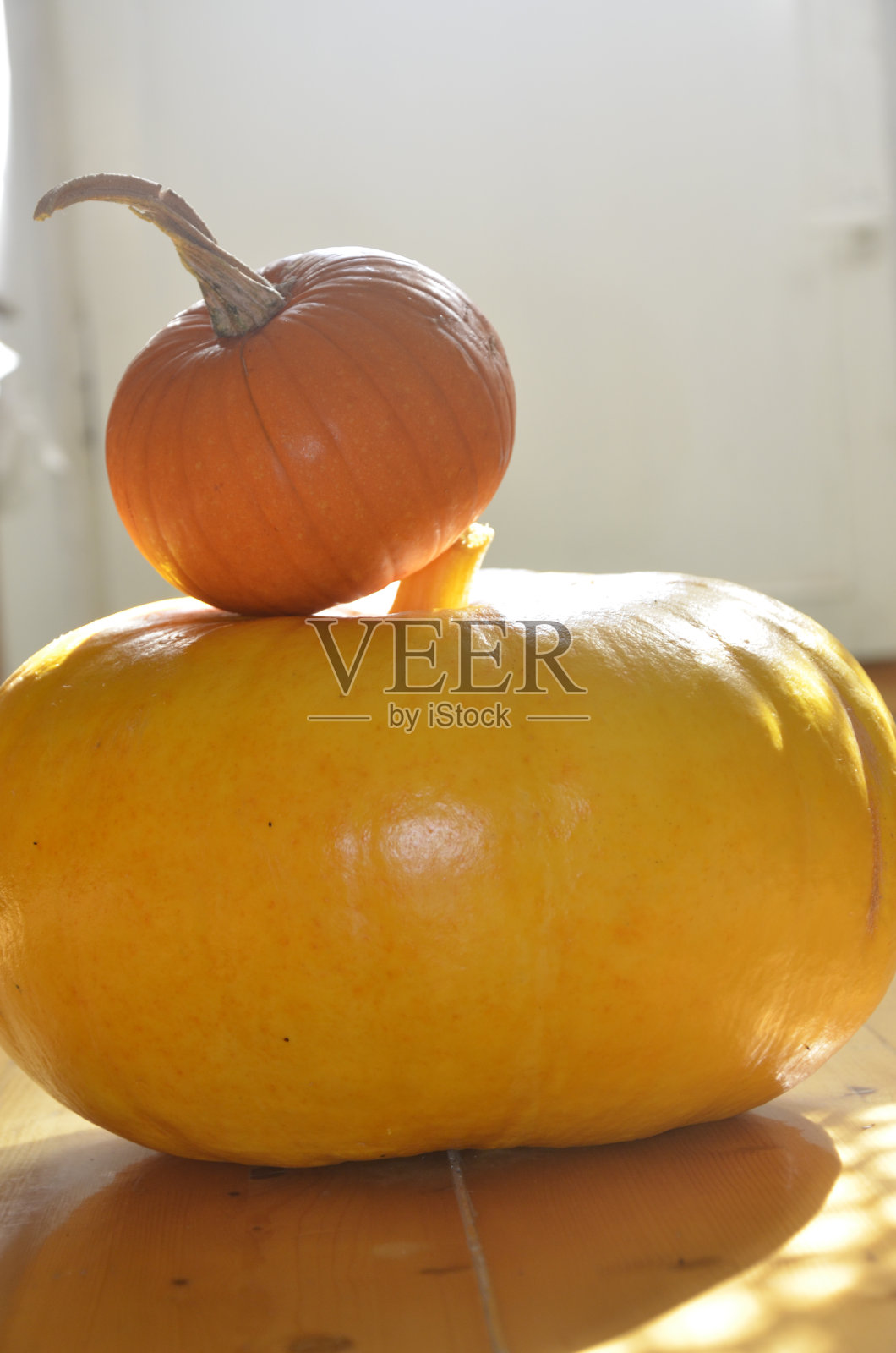 两个南瓜——大的和小的照片摄影图片