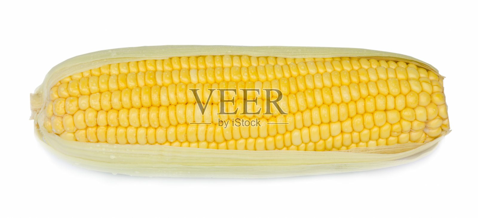 新鲜的玉米照片摄影图片