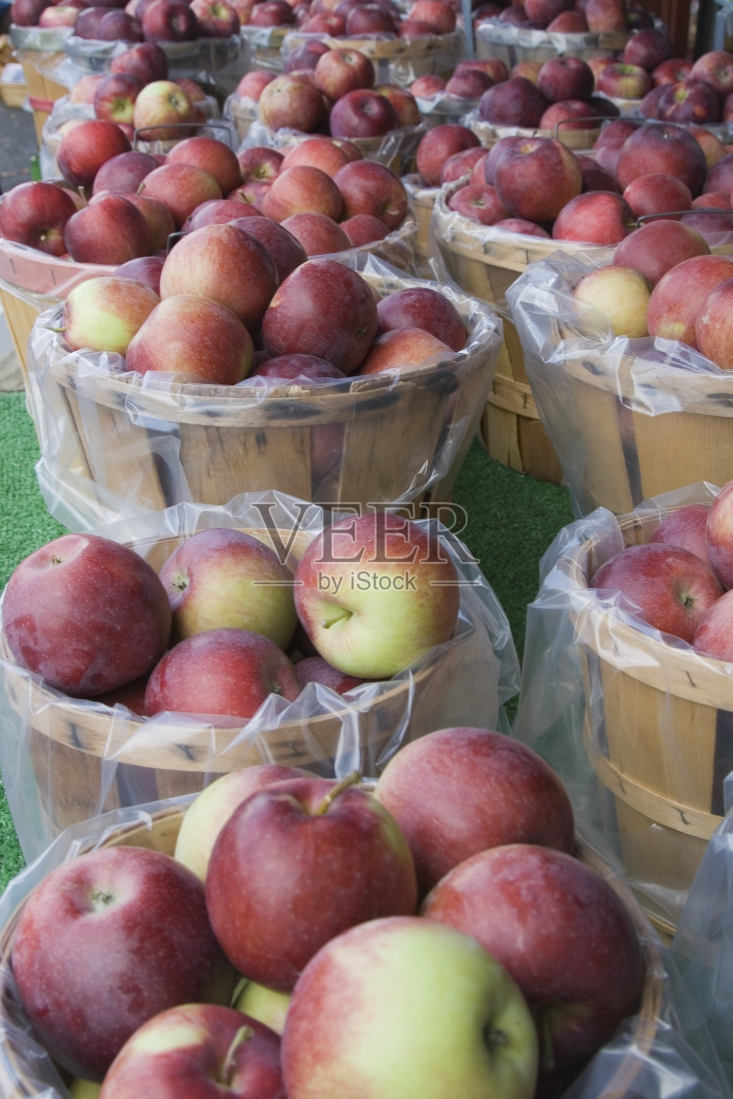 苹果照片摄影图片