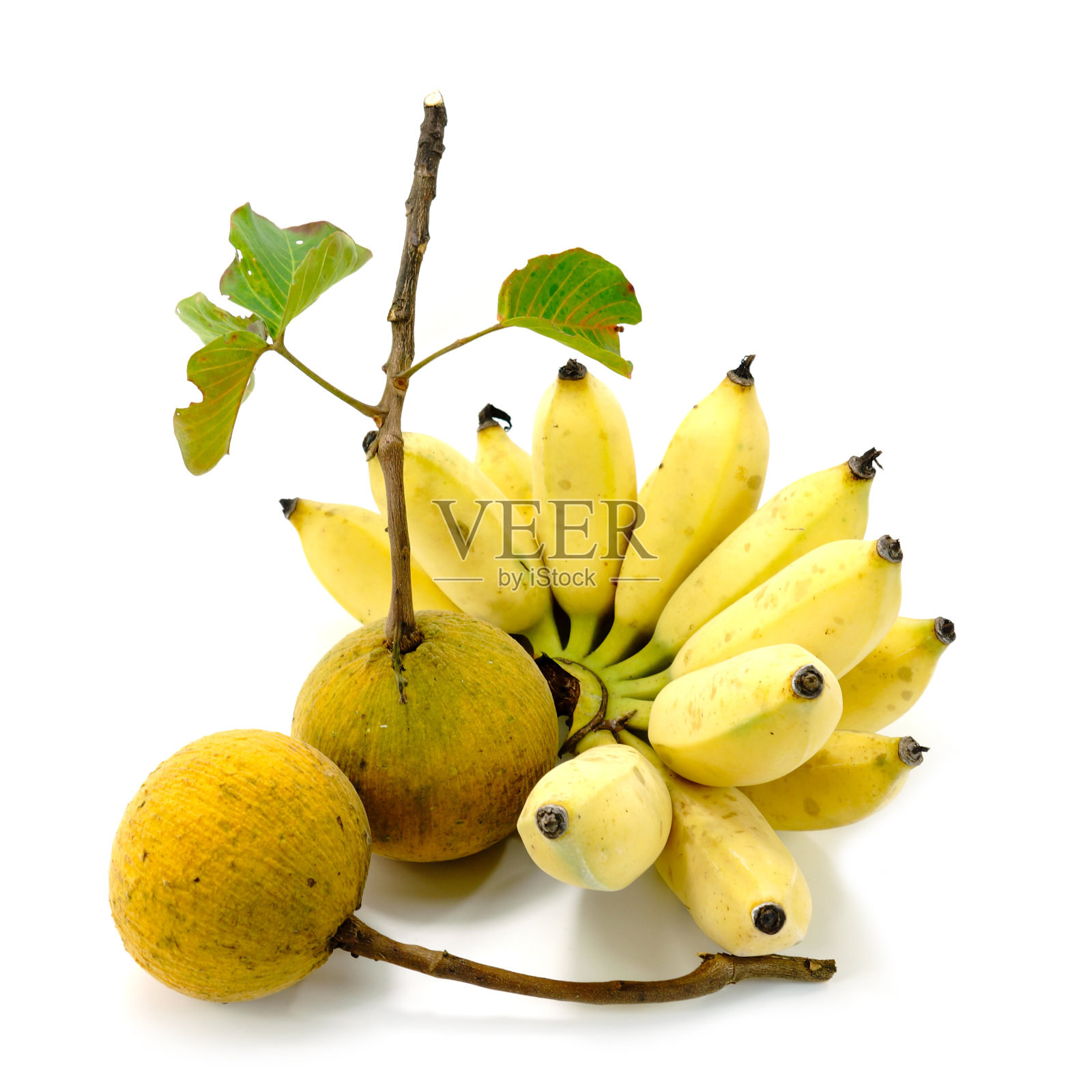 桑托尔和香蕉孤立在白色背景。照片摄影图片