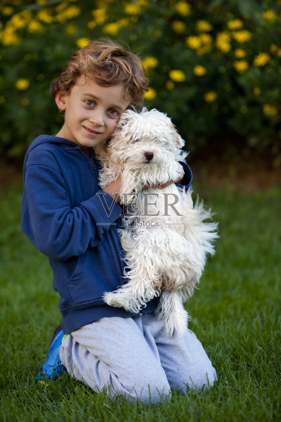 帅哥和白梗照片摄影图片
