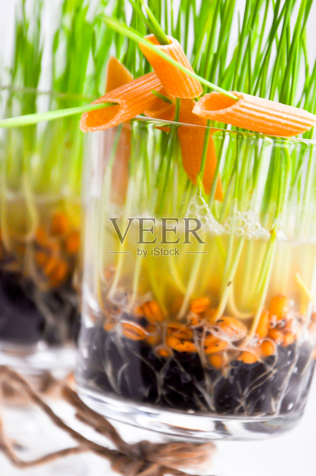 由全谷物制成的有机意大利面照片摄影图片