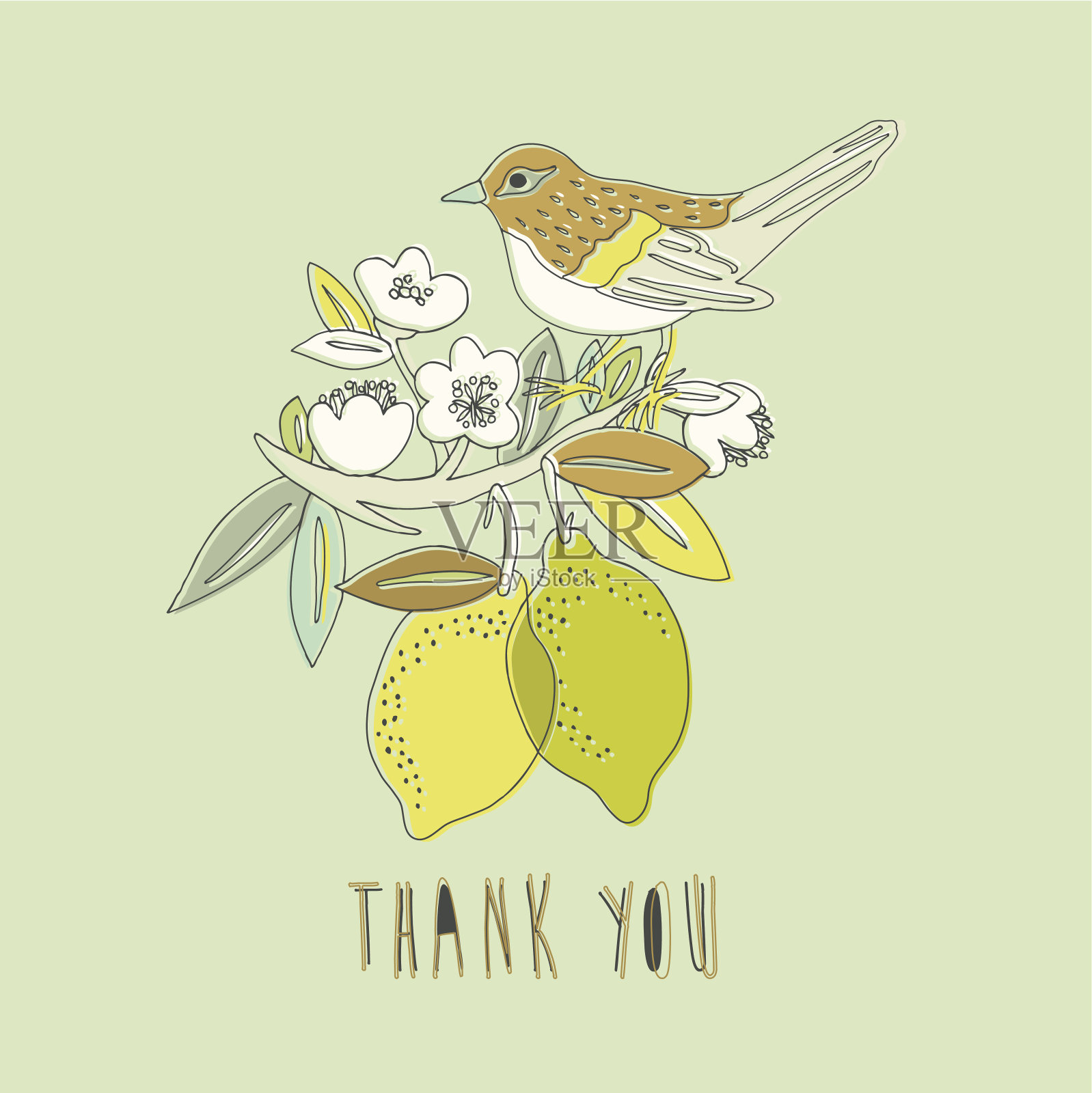 感谢卡片设计插画图片素材