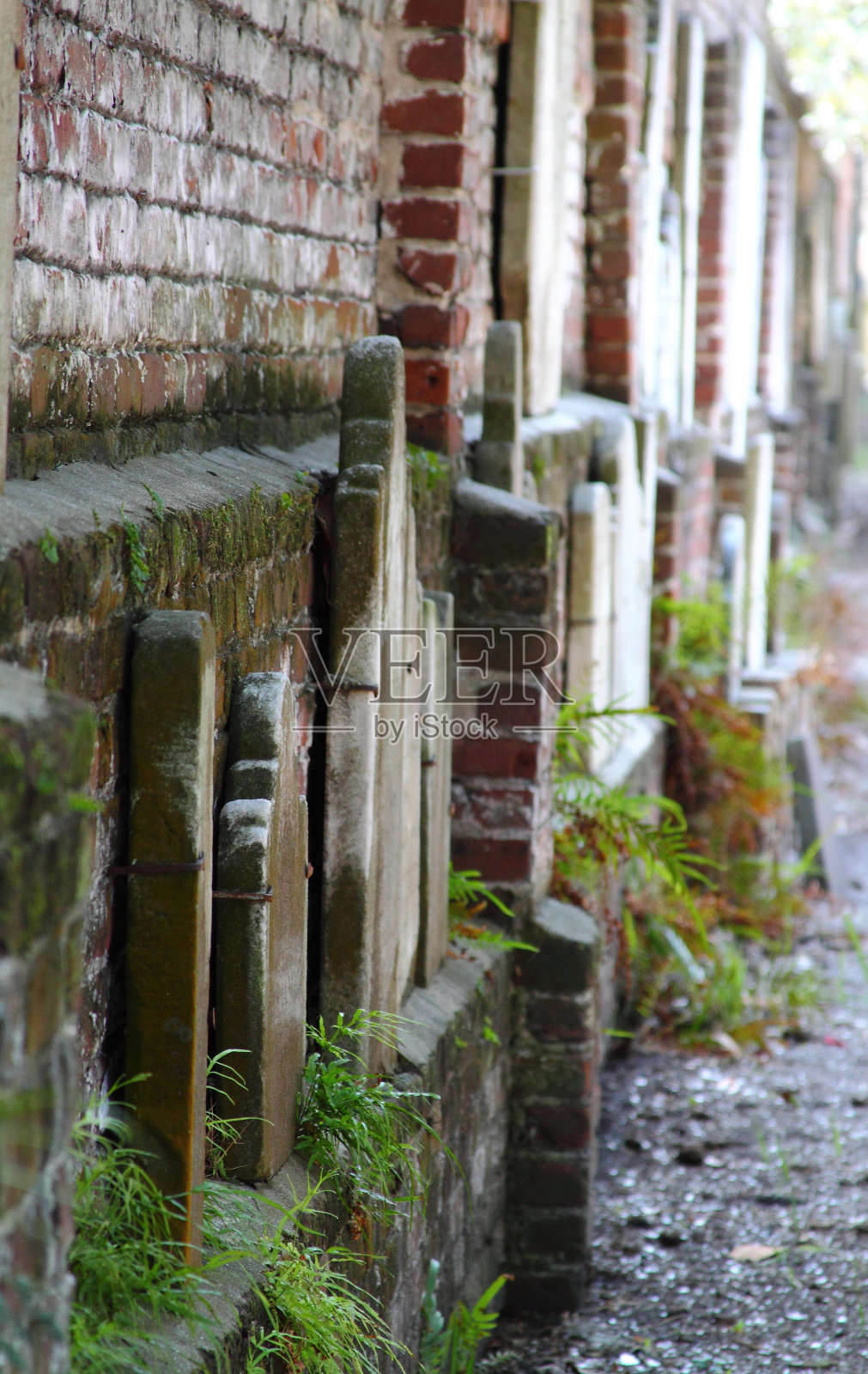 历史性的墓地照片摄影图片
