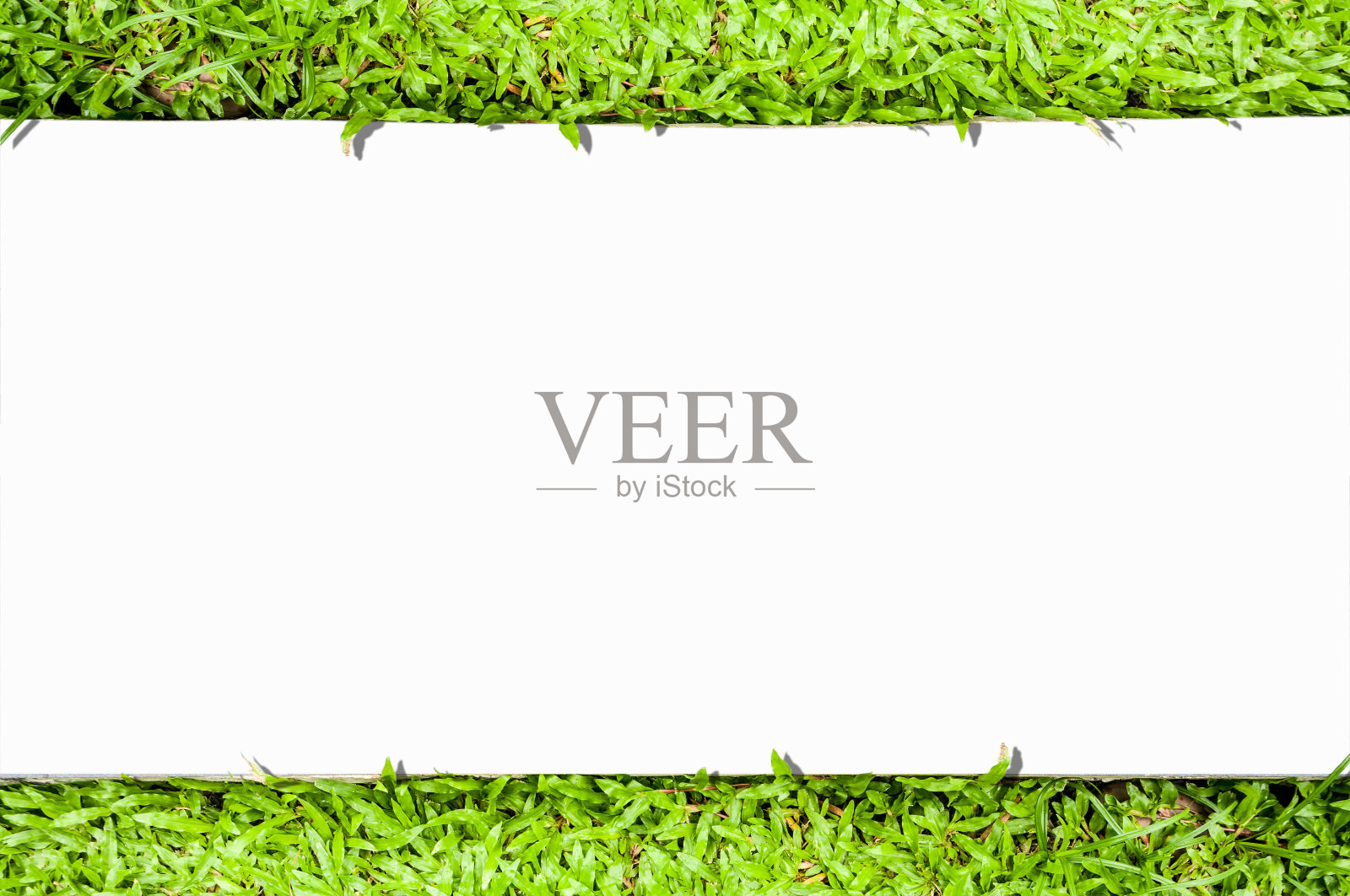 花园草坪上的小路照片摄影图片