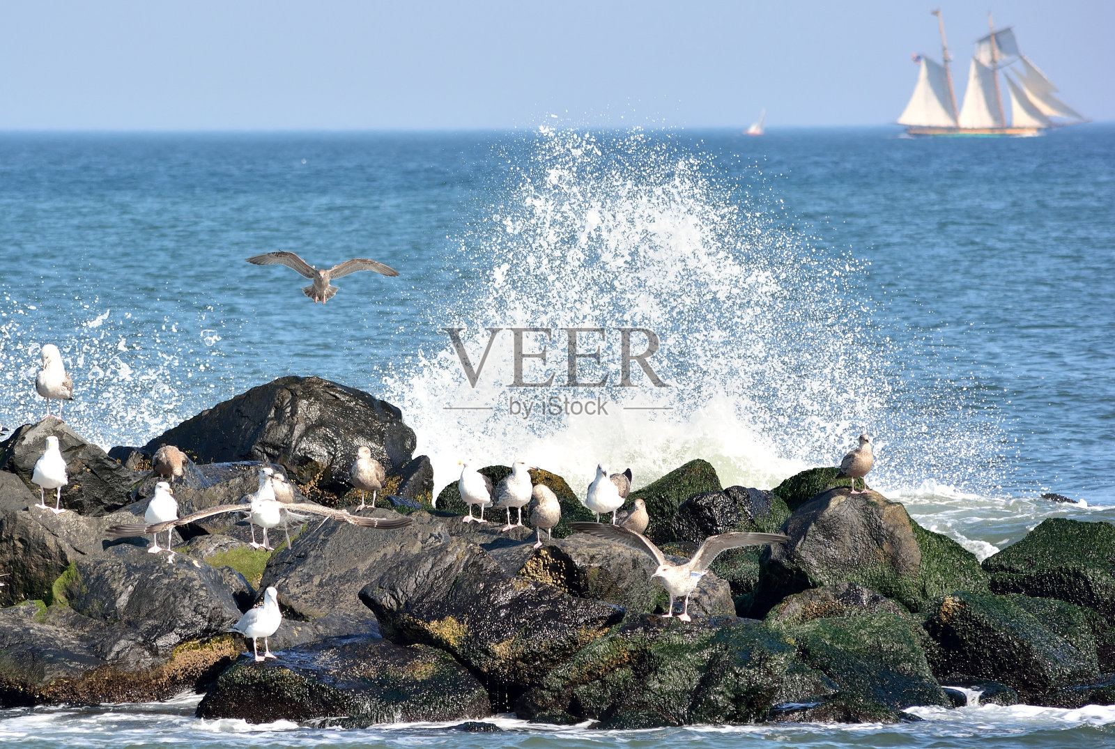 海边的场景照片摄影图片