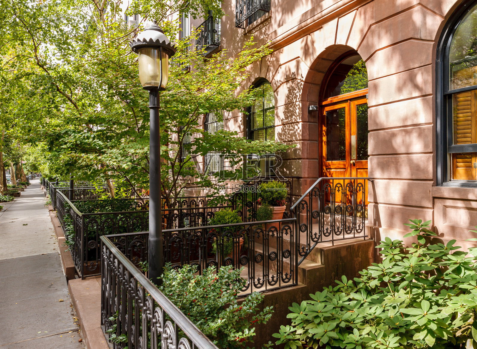 切尔西树满街道和它的联排别墅和前院，曼哈顿，纽约照片摄影图片