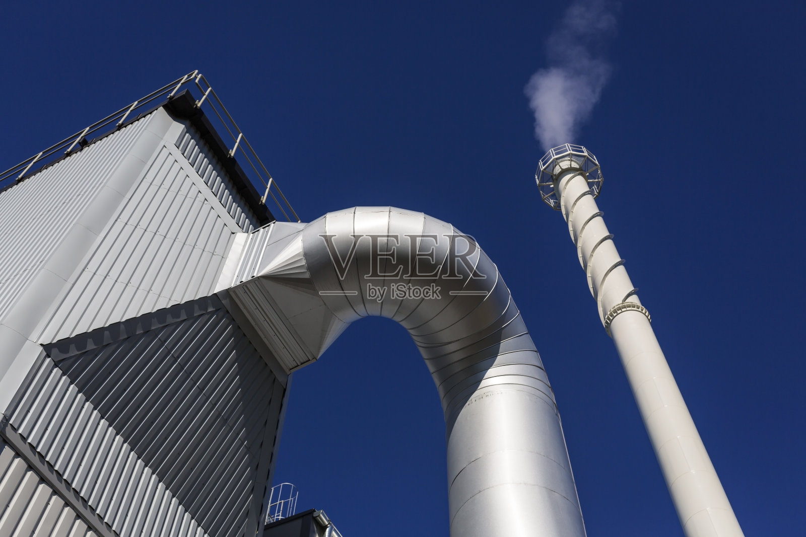 能源植物2照片摄影图片