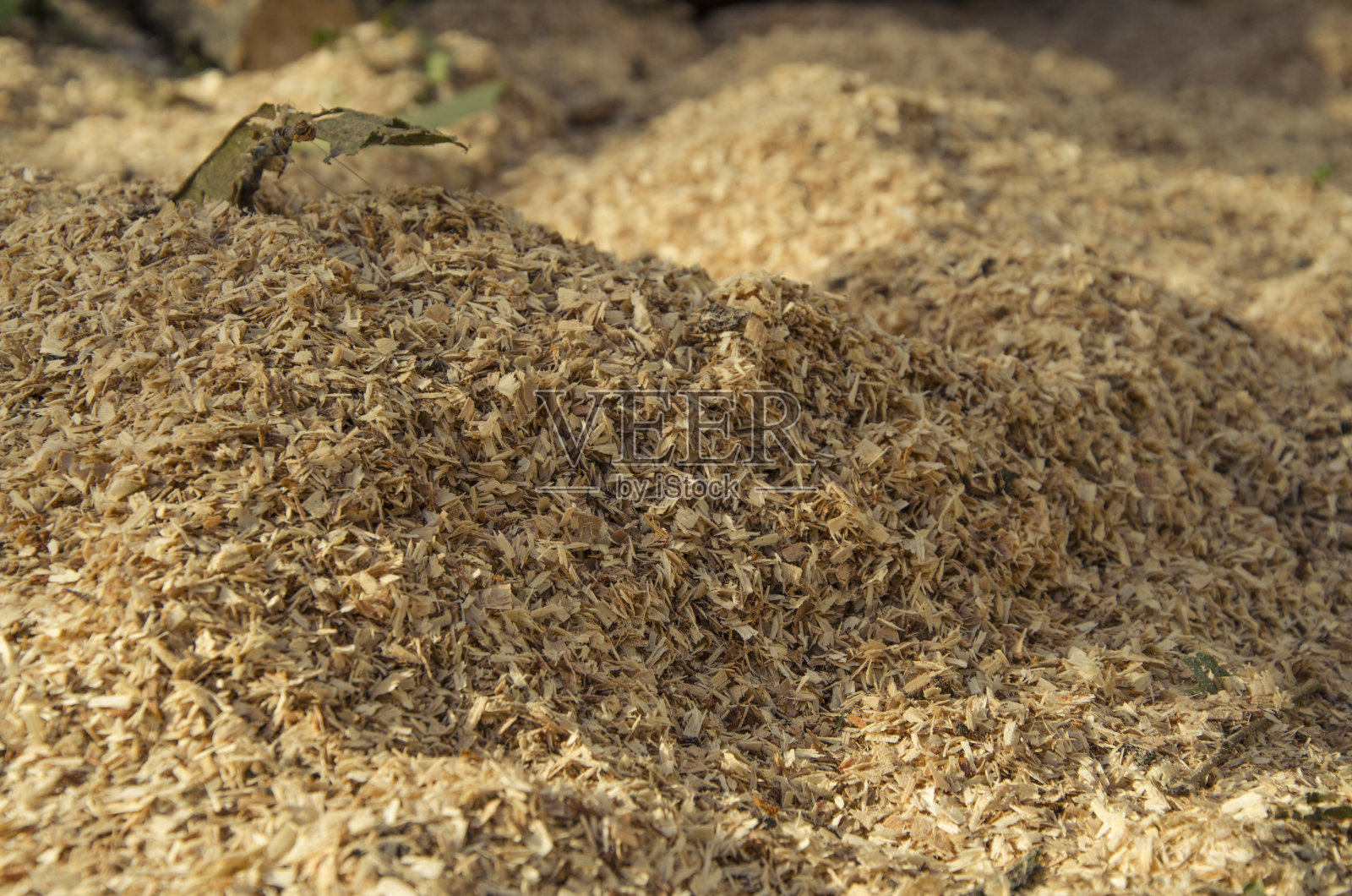 锯末特写镜头照片摄影图片