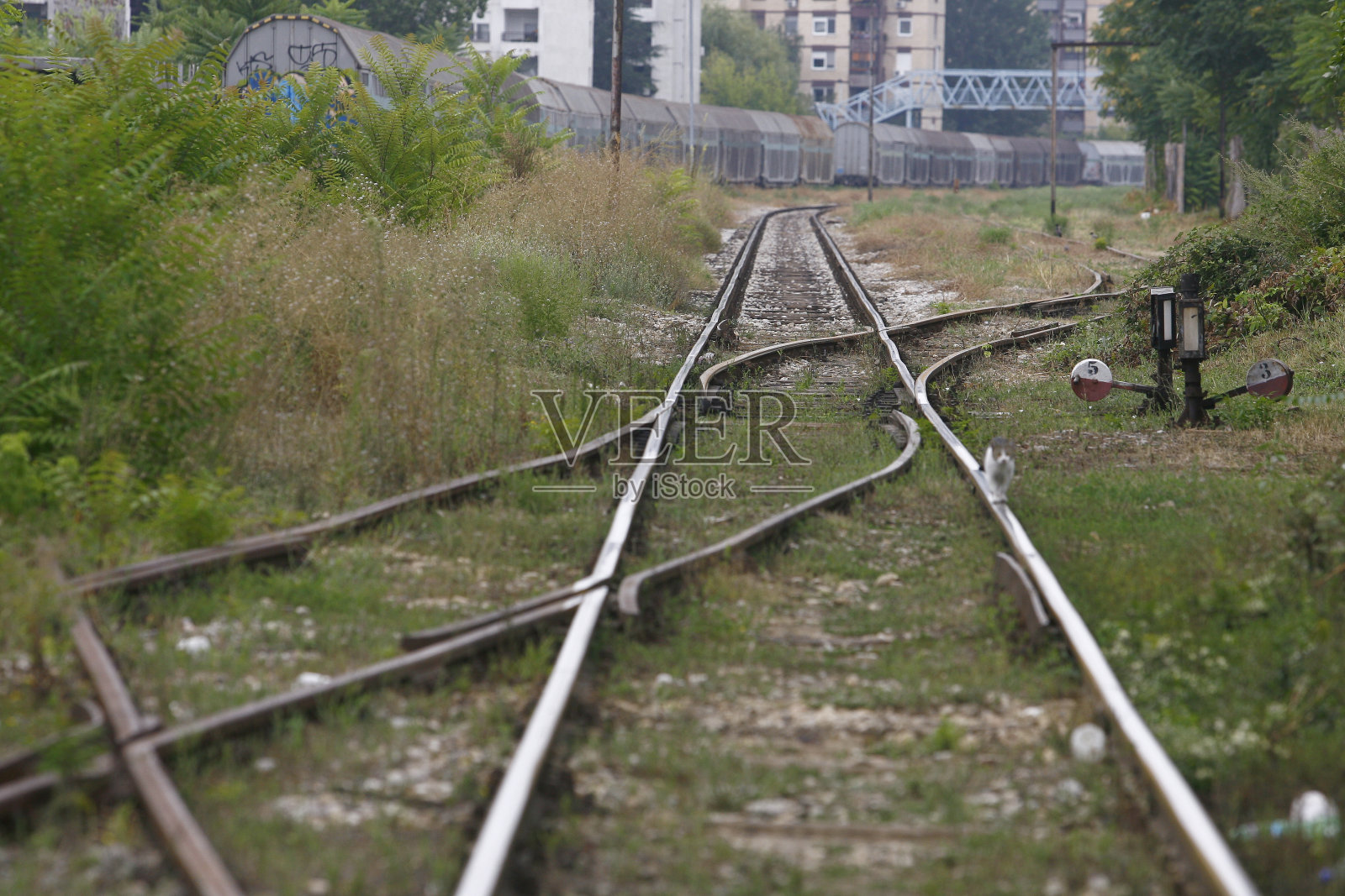 铁轨上有一片绿色的森林照片摄影图片