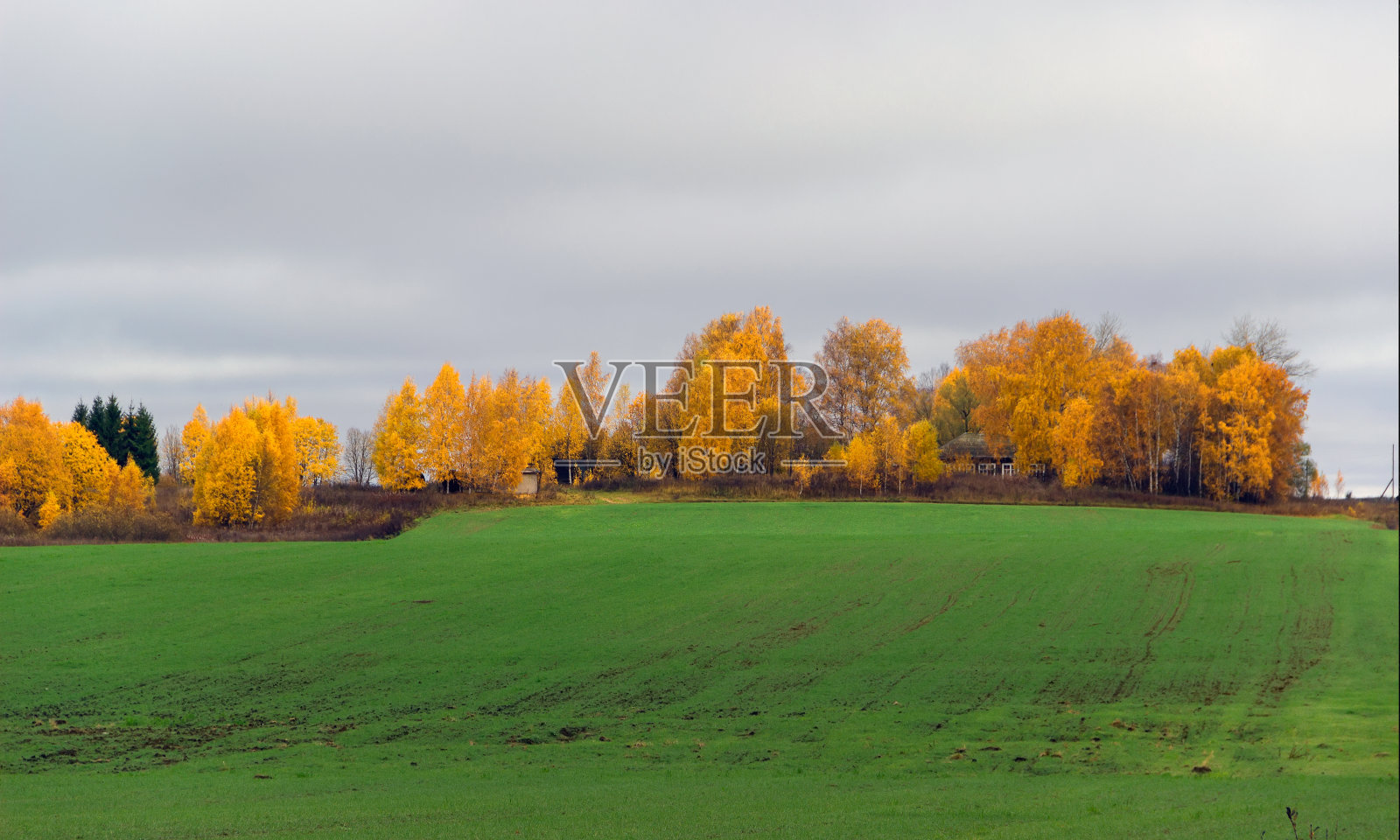 秋天的风景照片摄影图片
