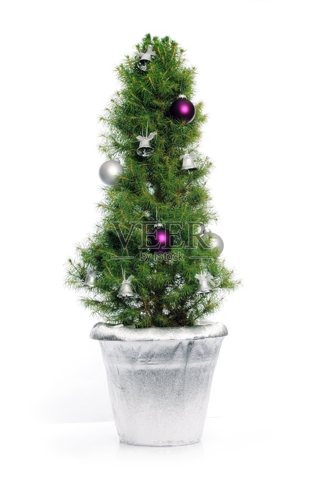 小圣诞树照片摄影图片