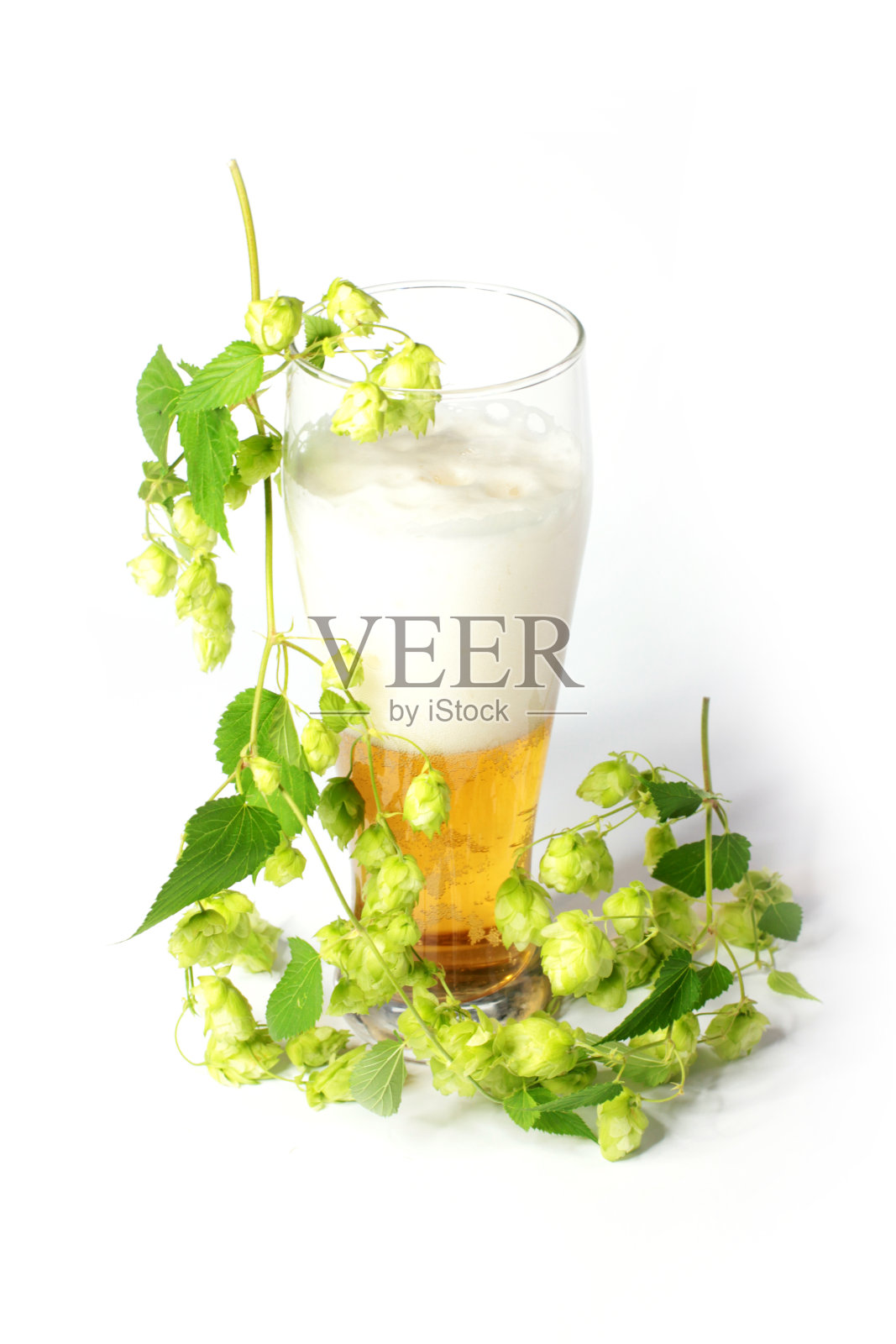 啤酒和啤酒花照片摄影图片