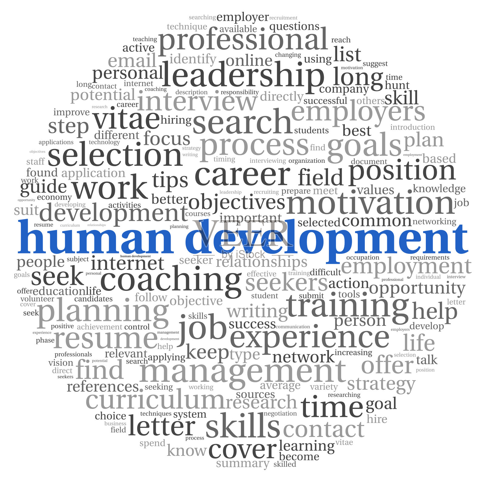 标签云中的人的发展概念照片摄影图片