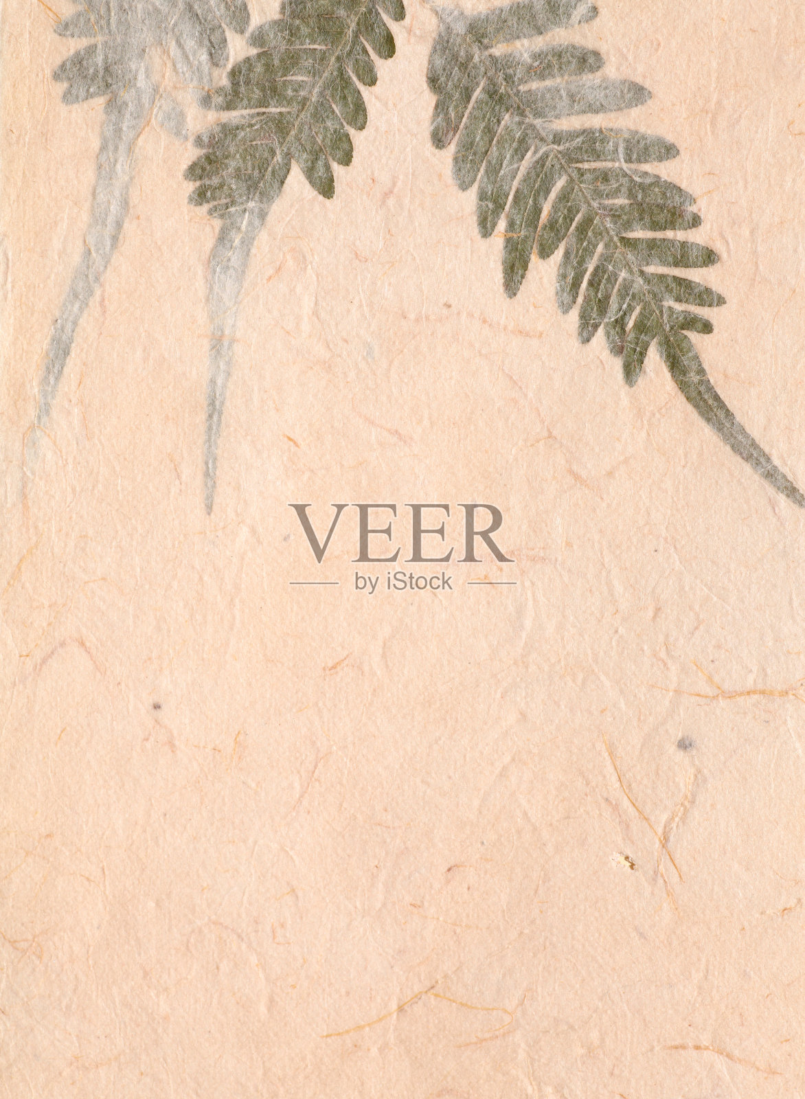 手工纸照片摄影图片