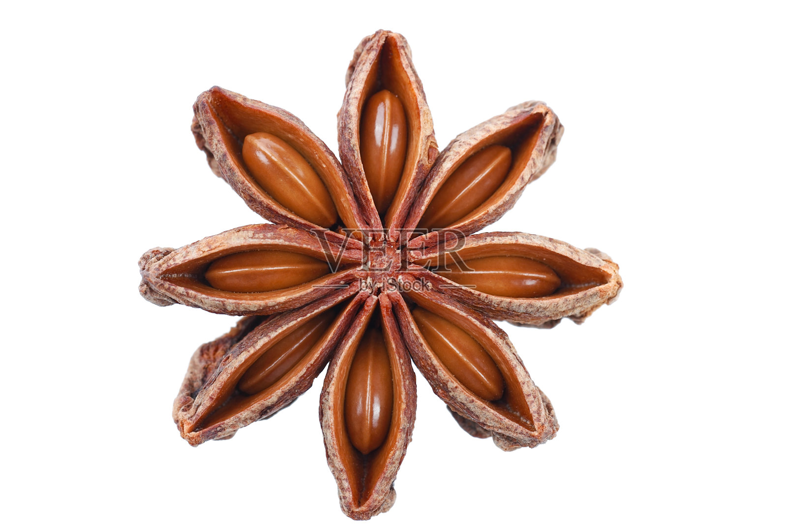 单一的茴香孤立照片摄影图片