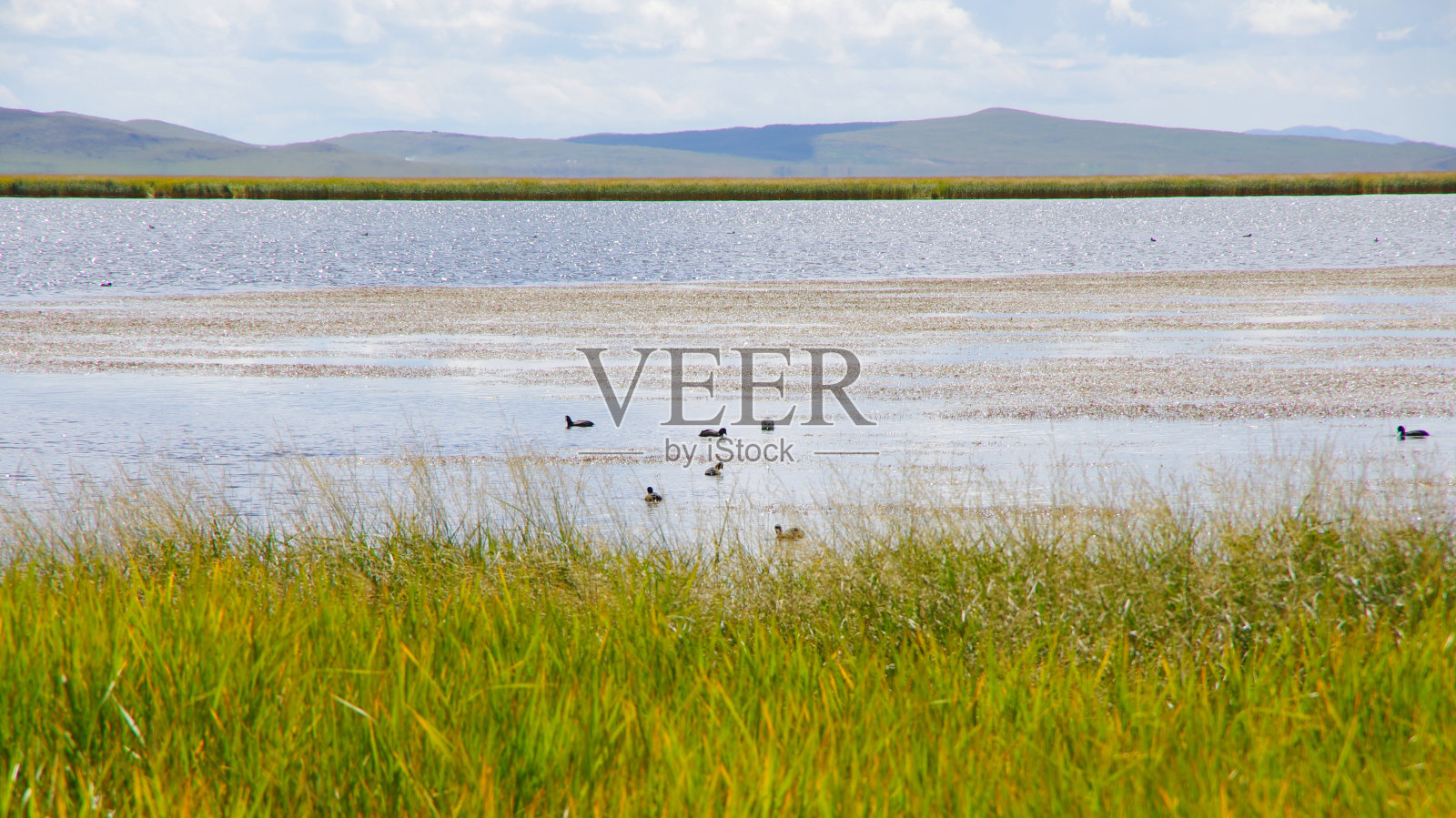 青藏高原湖泊照片摄影图片