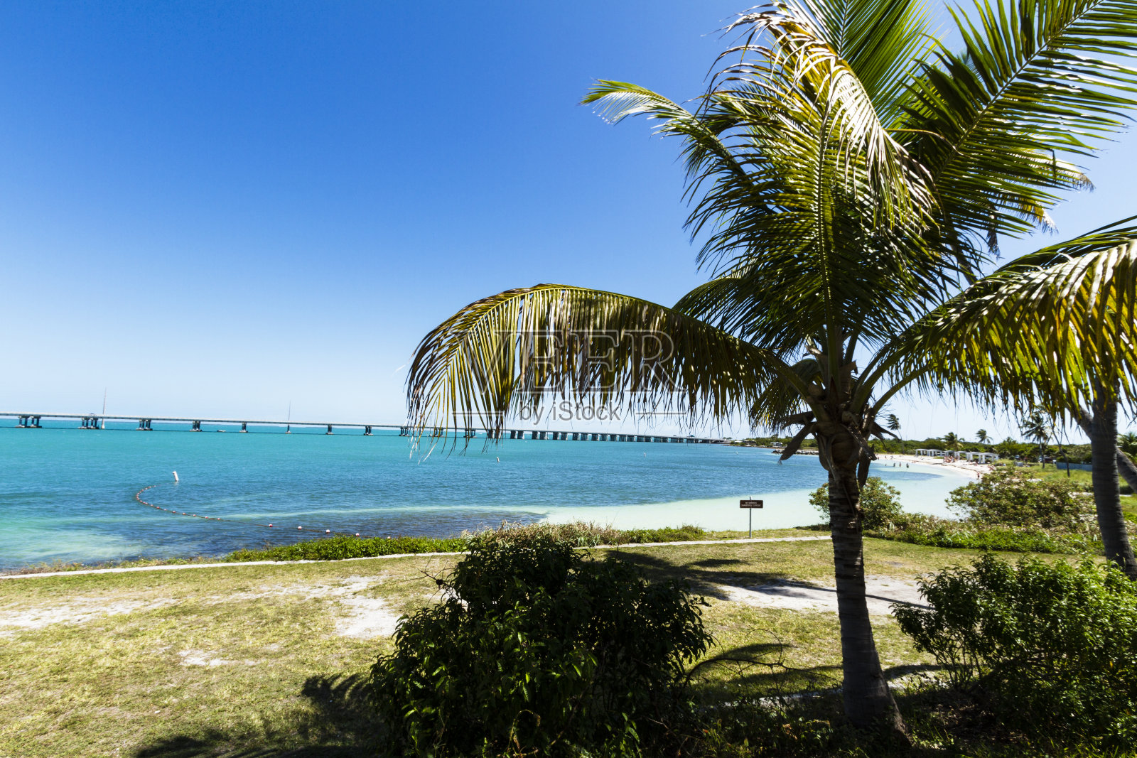 巴伊亚本田州立公园，佛罗里达州，美国照片摄影图片