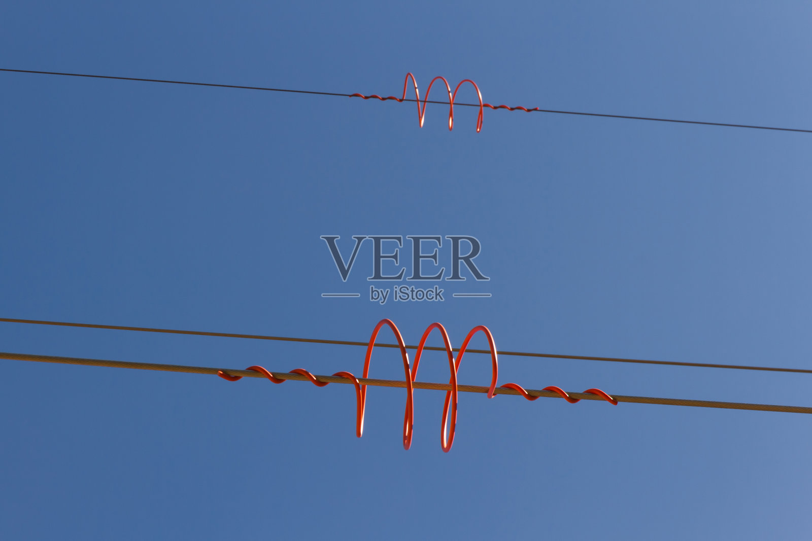 发散的- Salvapajaros照片摄影图片