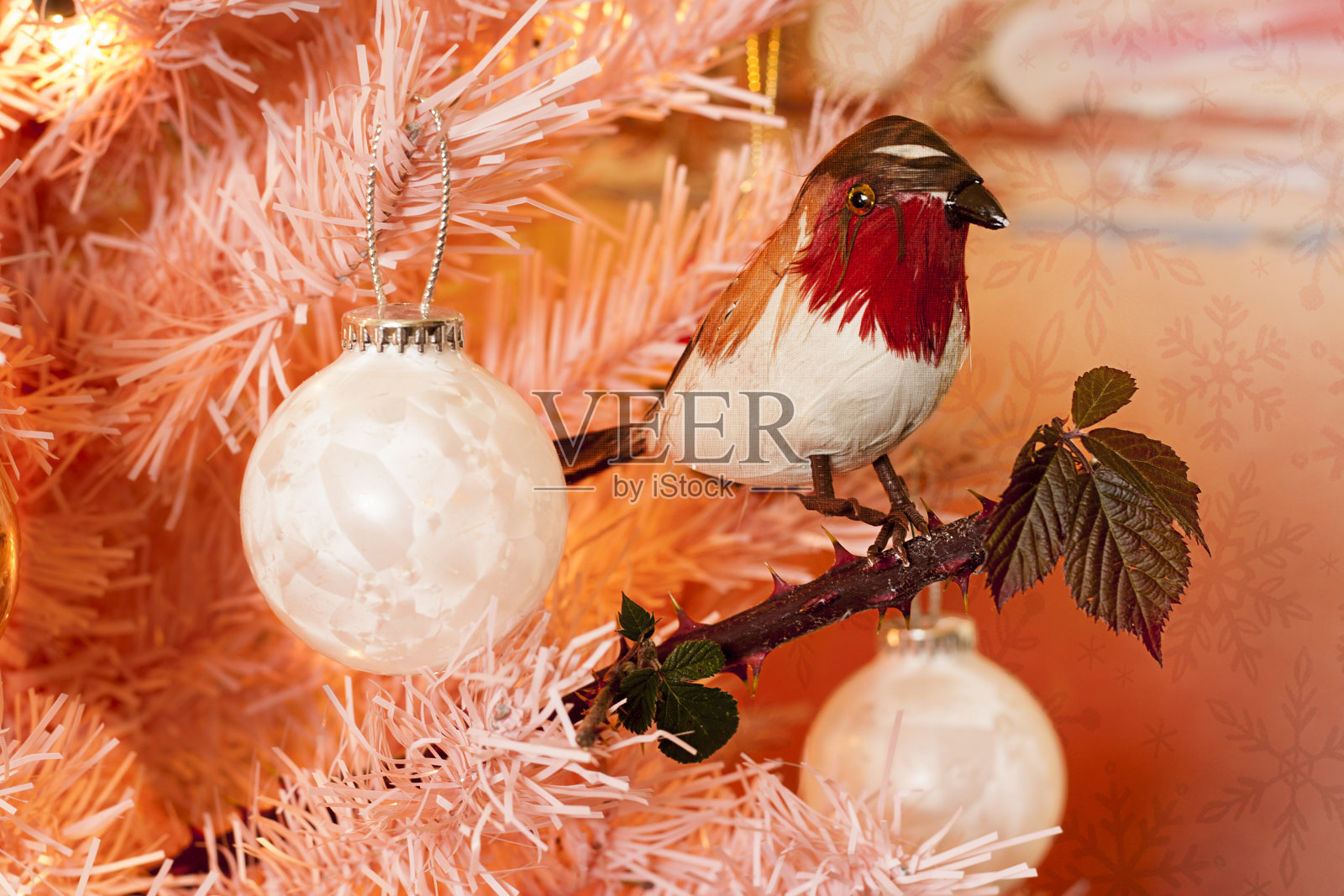 圣诞树荆棘照片摄影图片