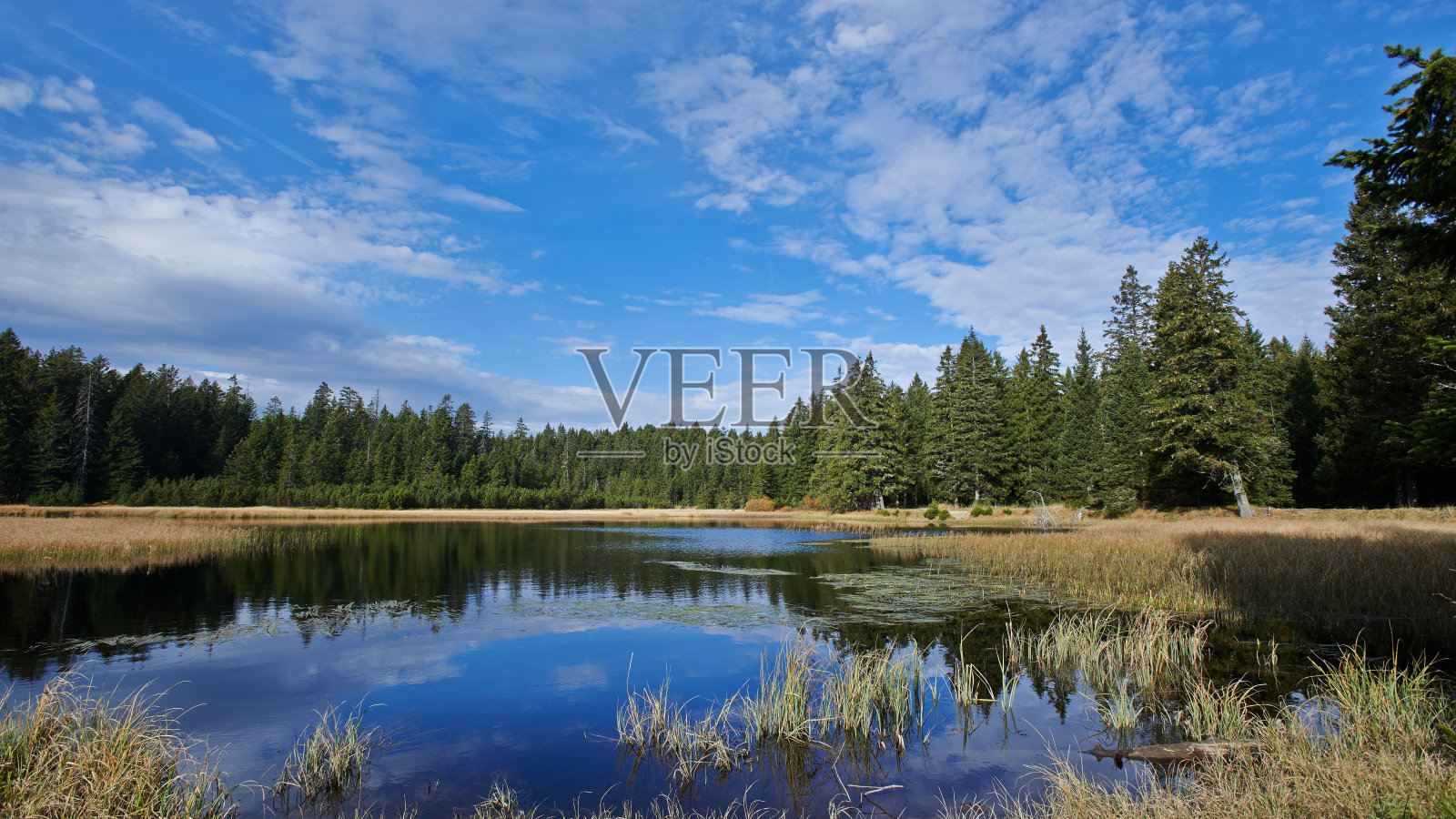 斯洛文尼亚的黑湖照片摄影图片