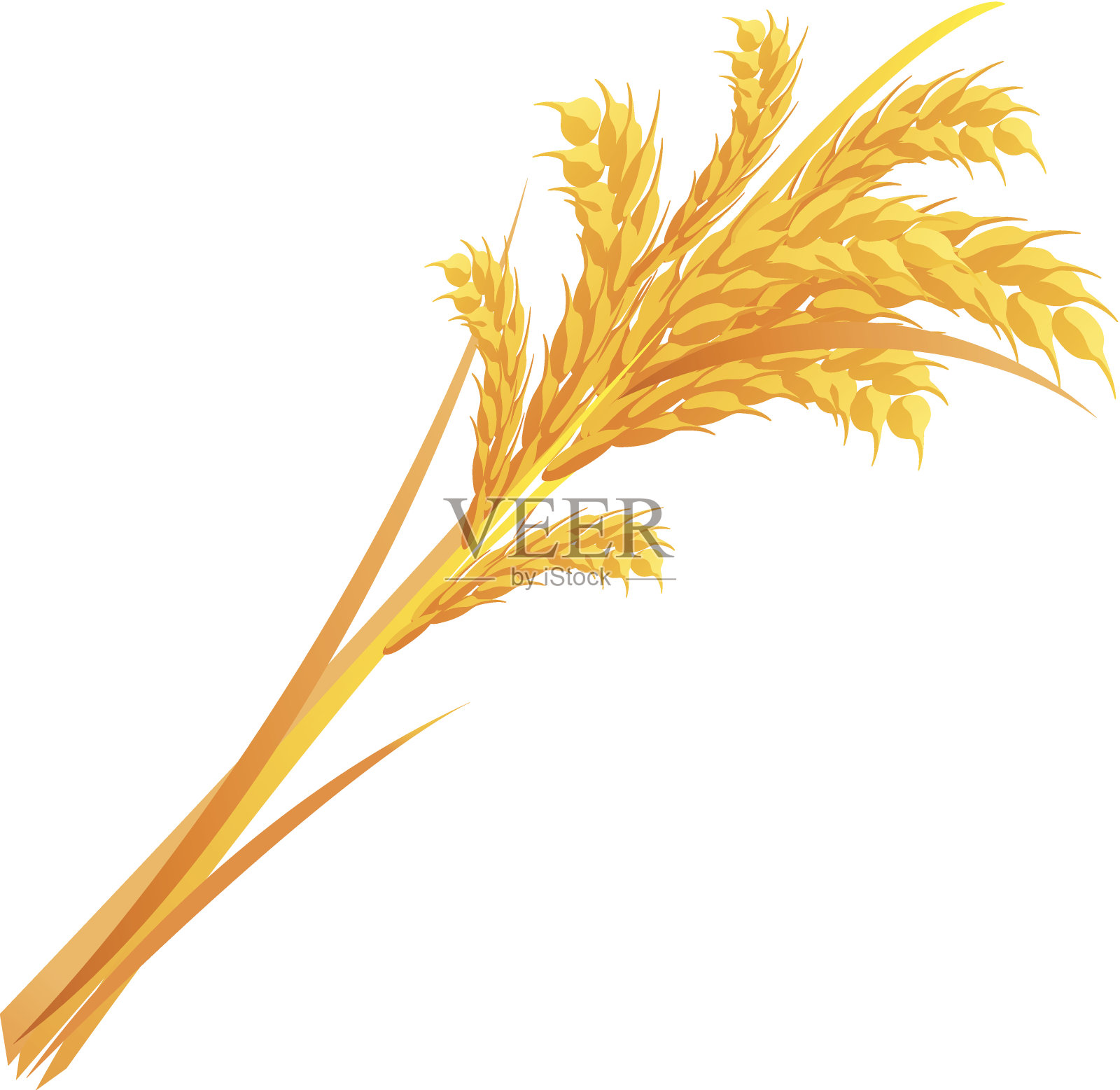 图标的谷物插画图片素材