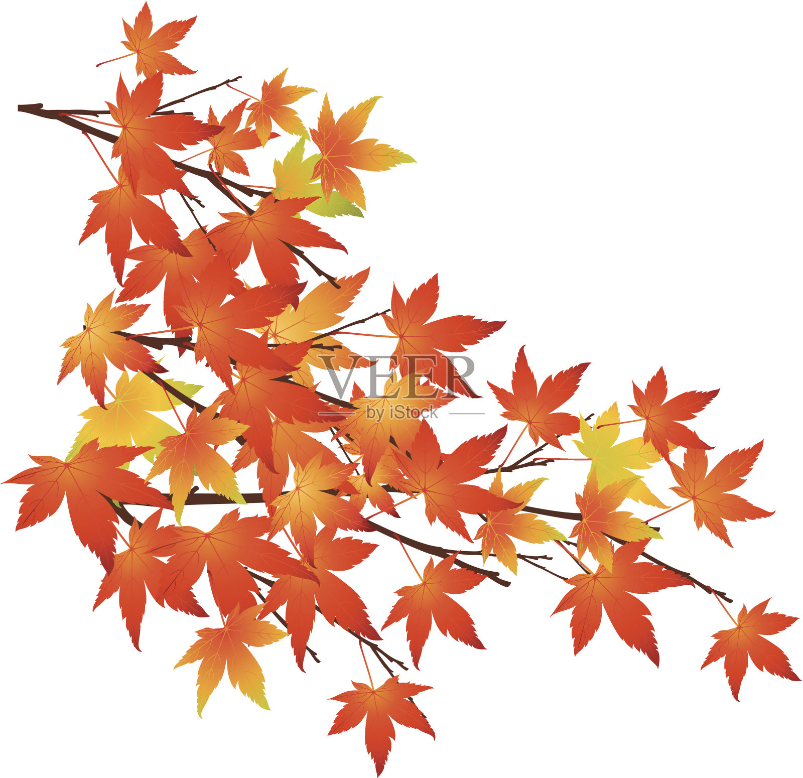 矢量图标叶插画图片素材