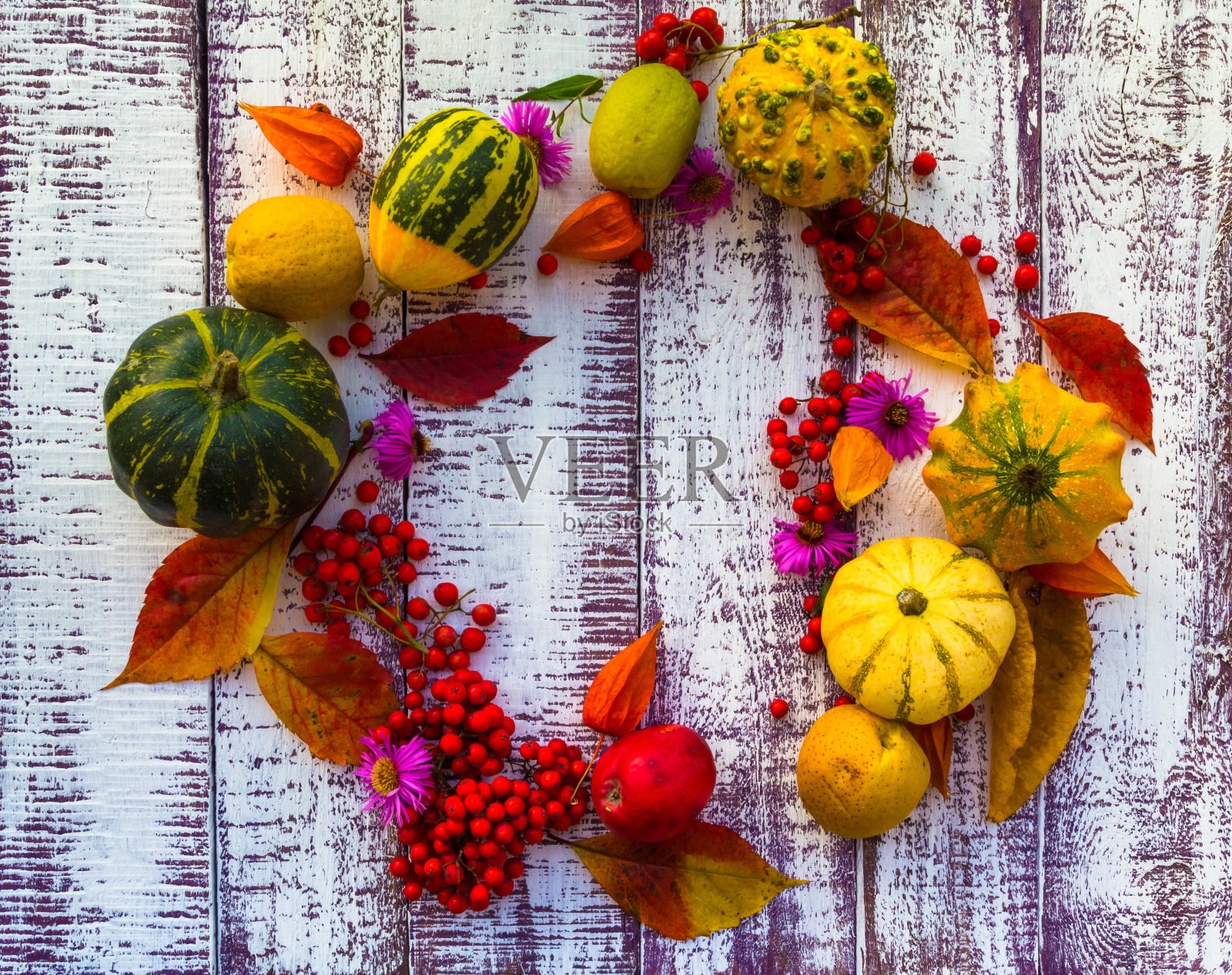 秋秋背景，桌上摆放蔬菜水果照片摄影图片