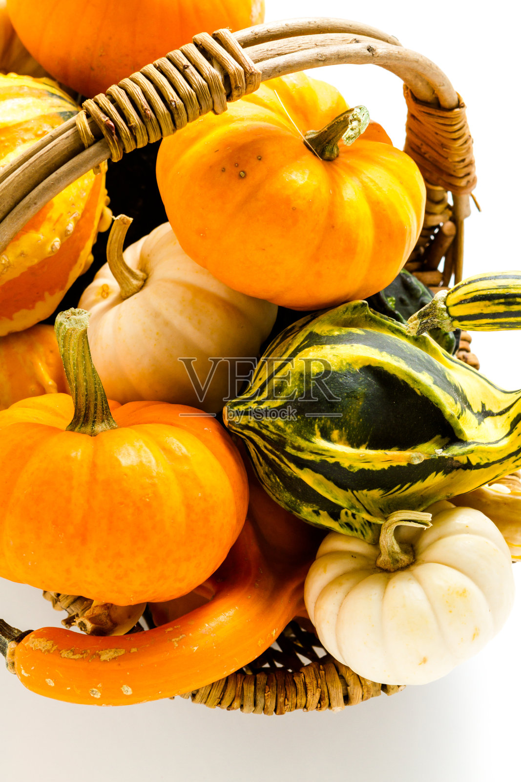 迷你南瓜照片摄影图片