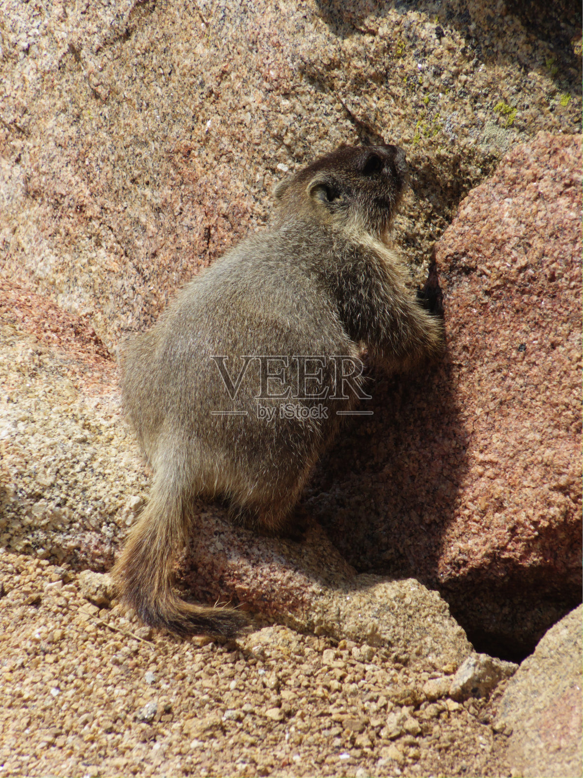 攀岩者照片摄影图片