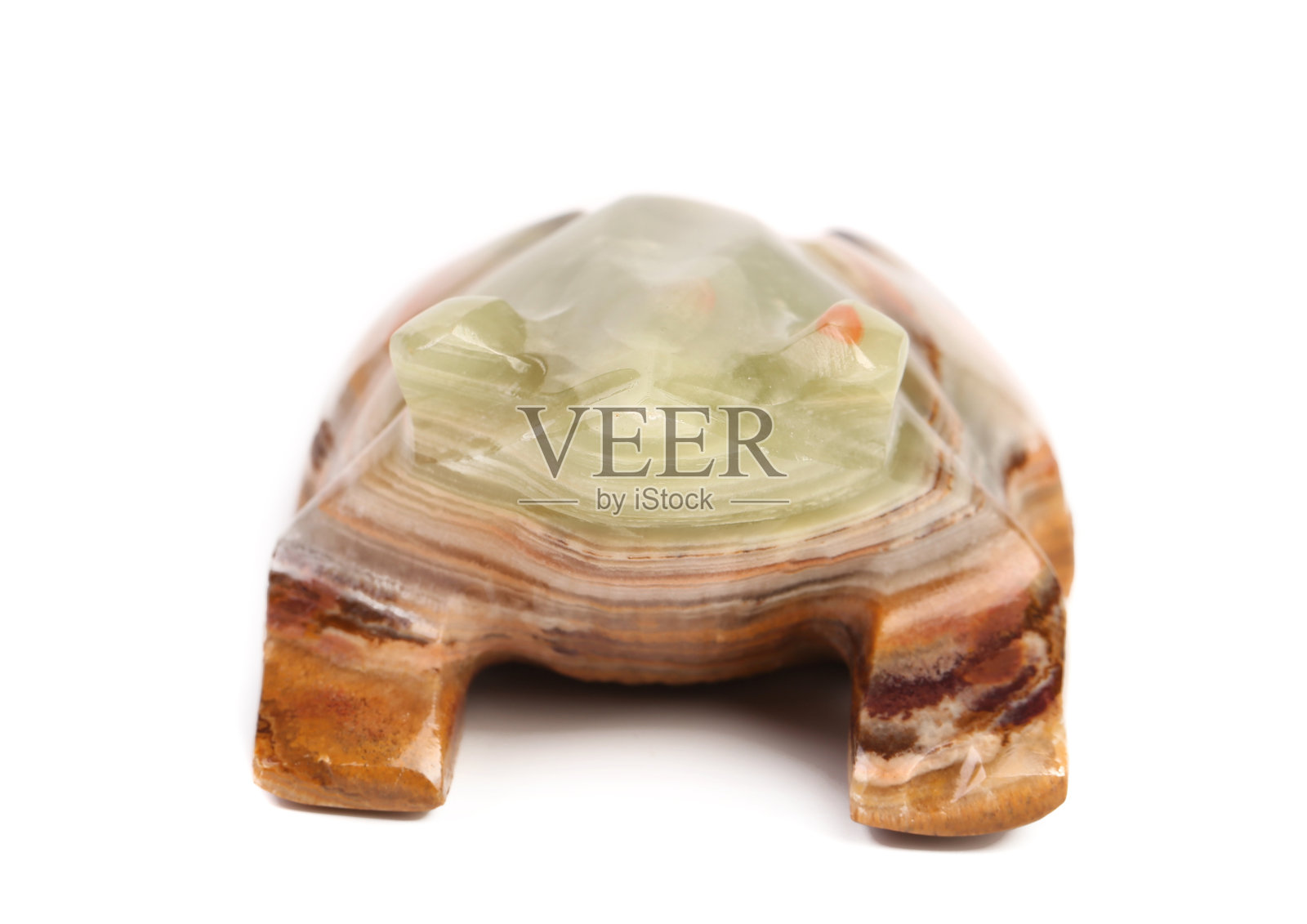 玉龟的后视图。照片摄影图片