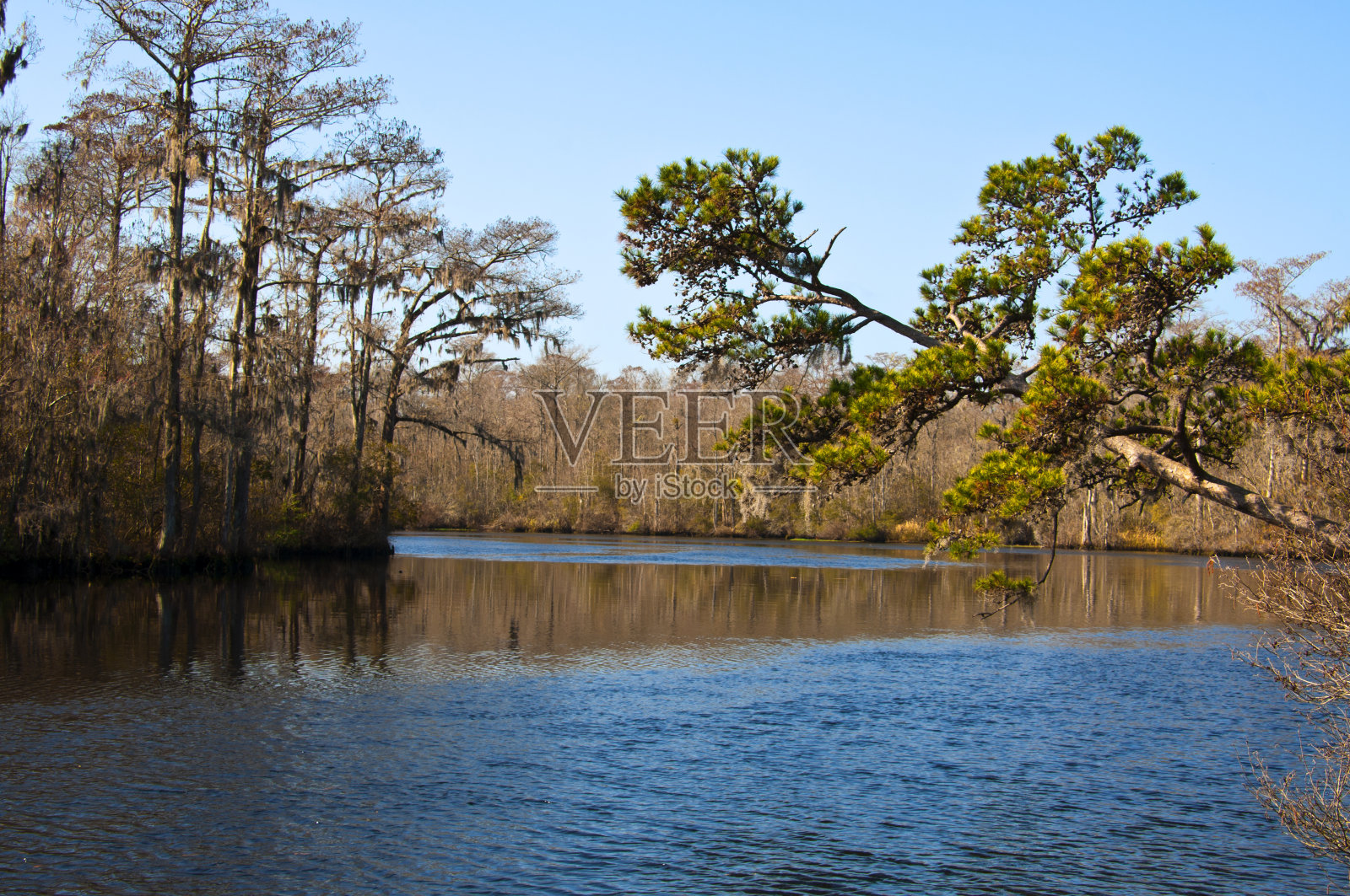 沼泽河照片摄影图片