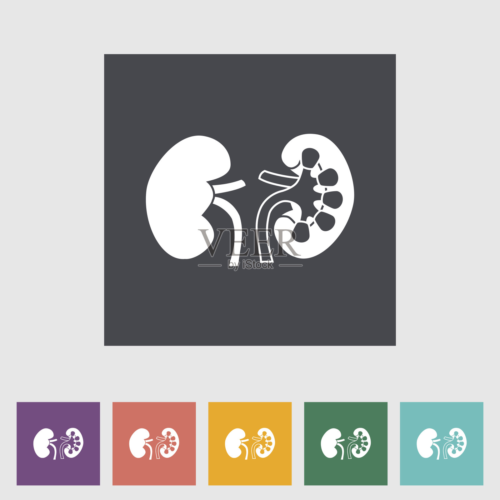 彩色波普艺术与人体肾脏模板插画图片素材