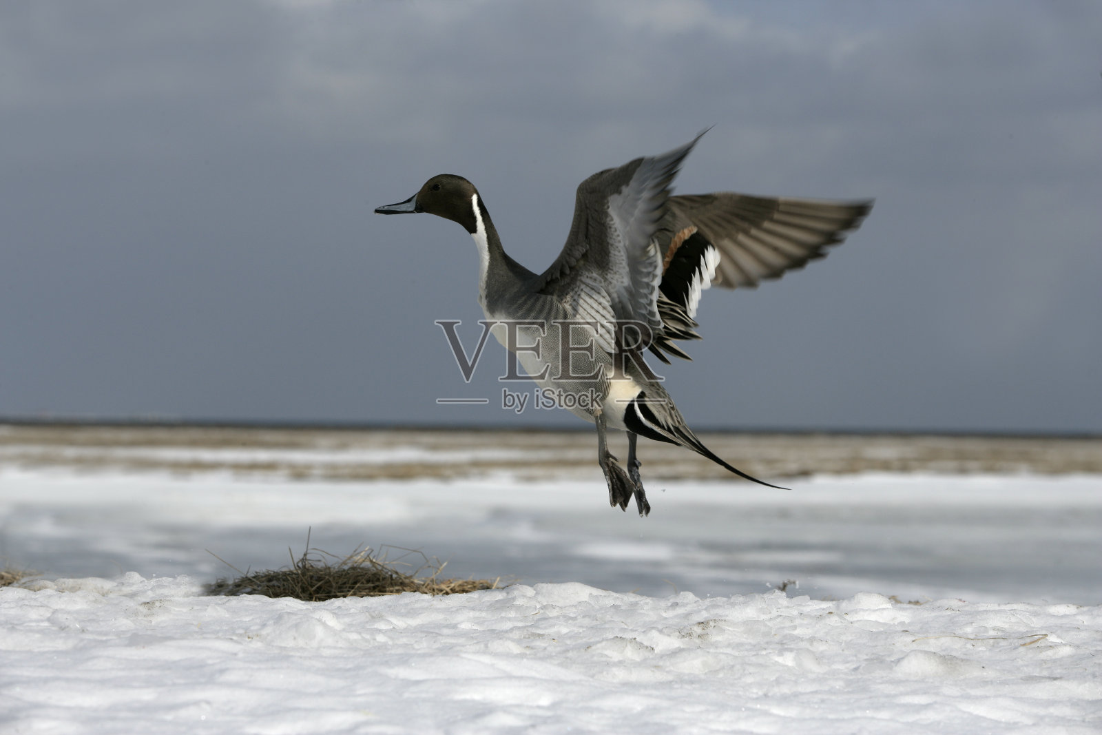 北方塔，安那照片摄影图片