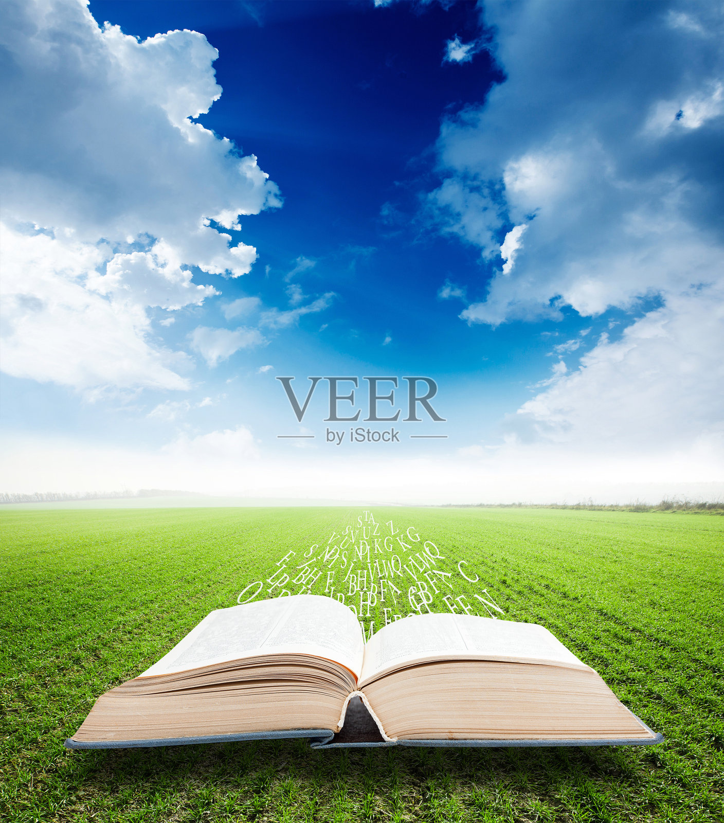 在田野里打开一本有字母的书照片摄影图片