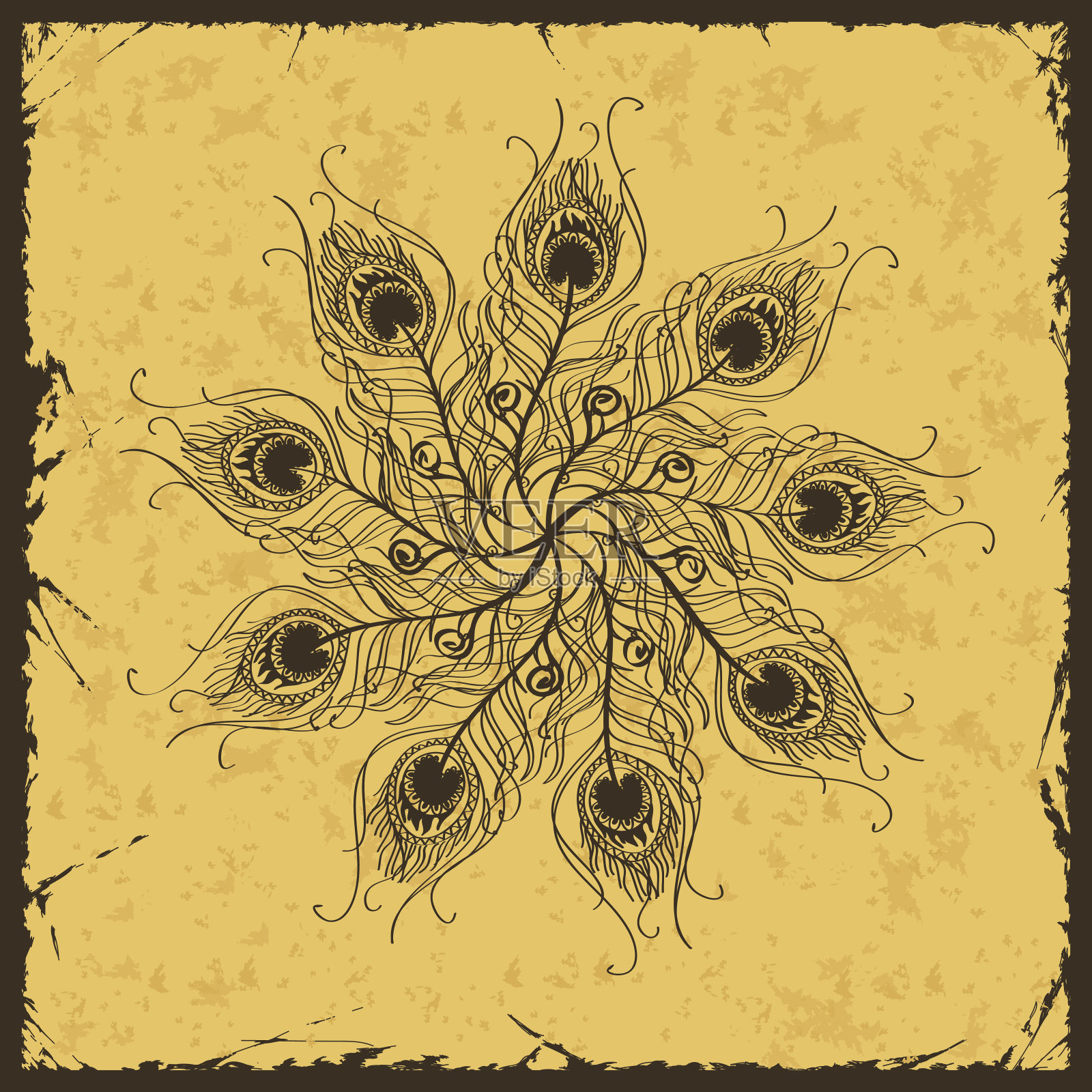 插图与孔雀羽毛装饰插画图片素材