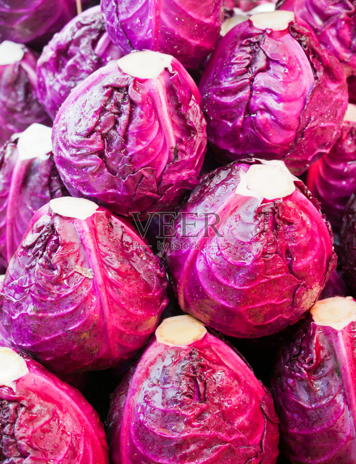 新鲜的红球甘蓝照片摄影图片