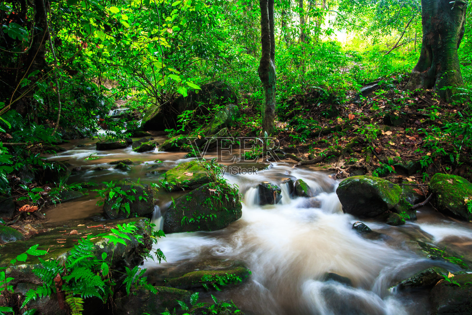 雨林中的Pha Dok Xu瀑布照片摄影图片