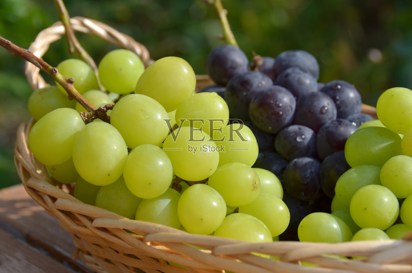 葡萄照片摄影图片