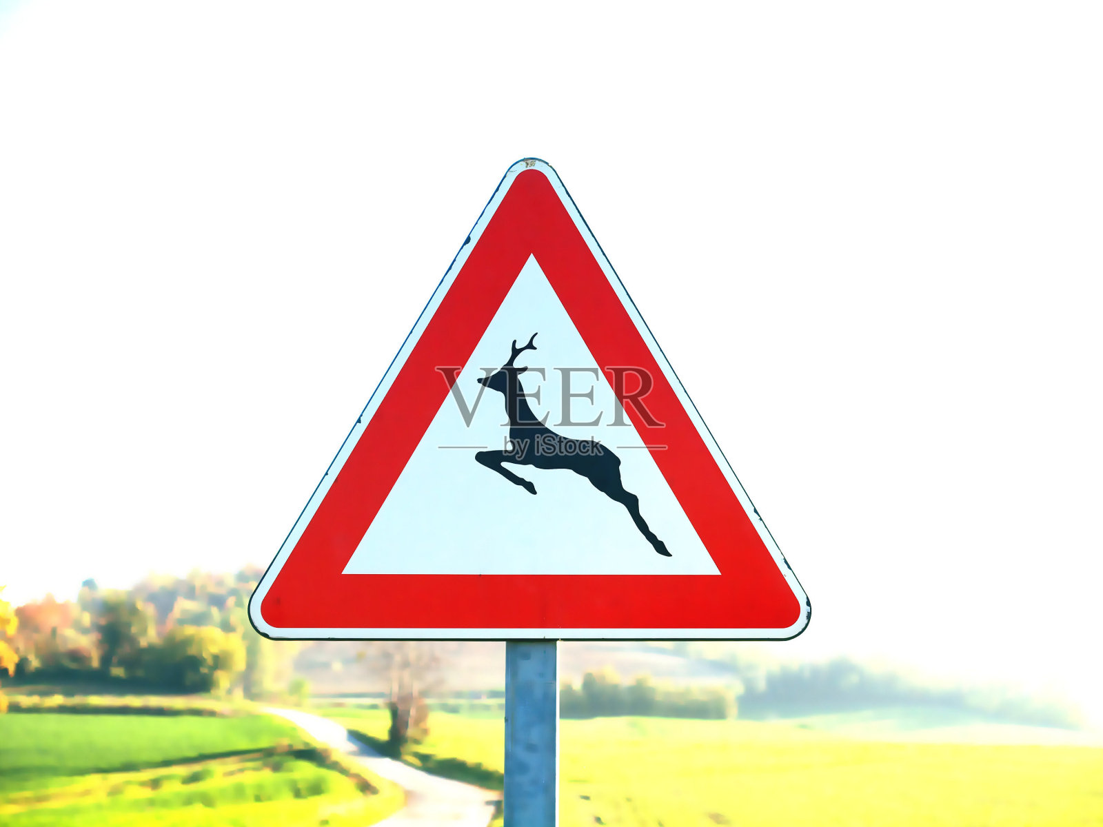 标志照片摄影图片