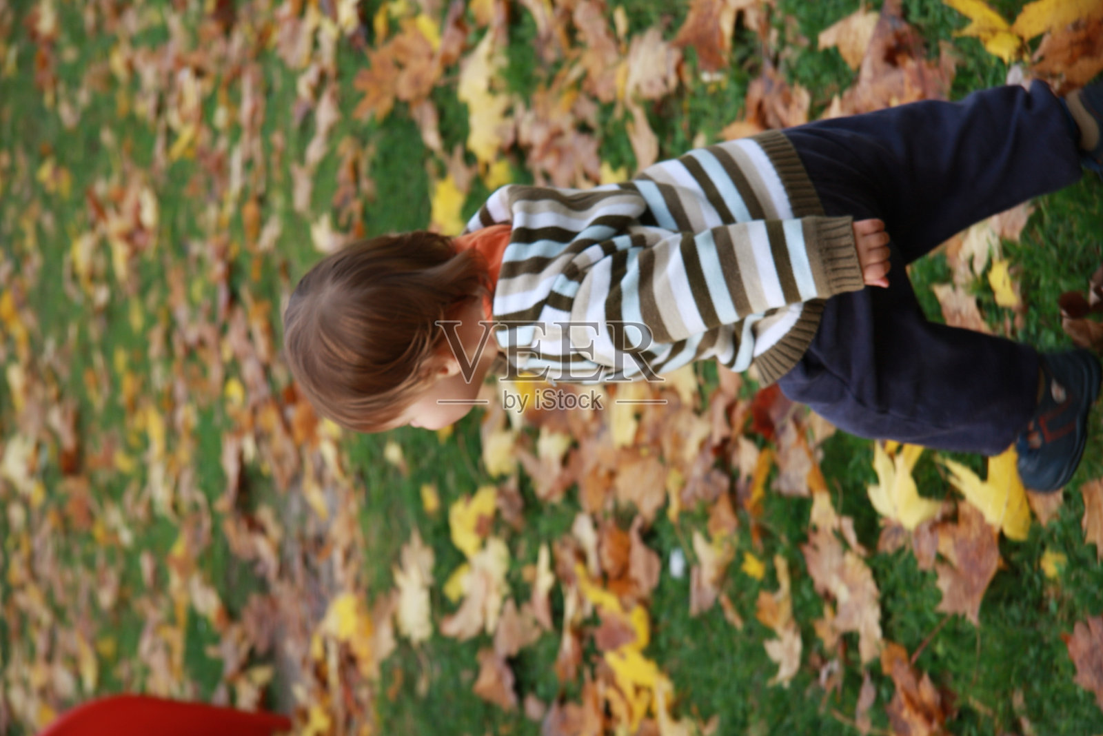 大自然中的小男孩照片摄影图片