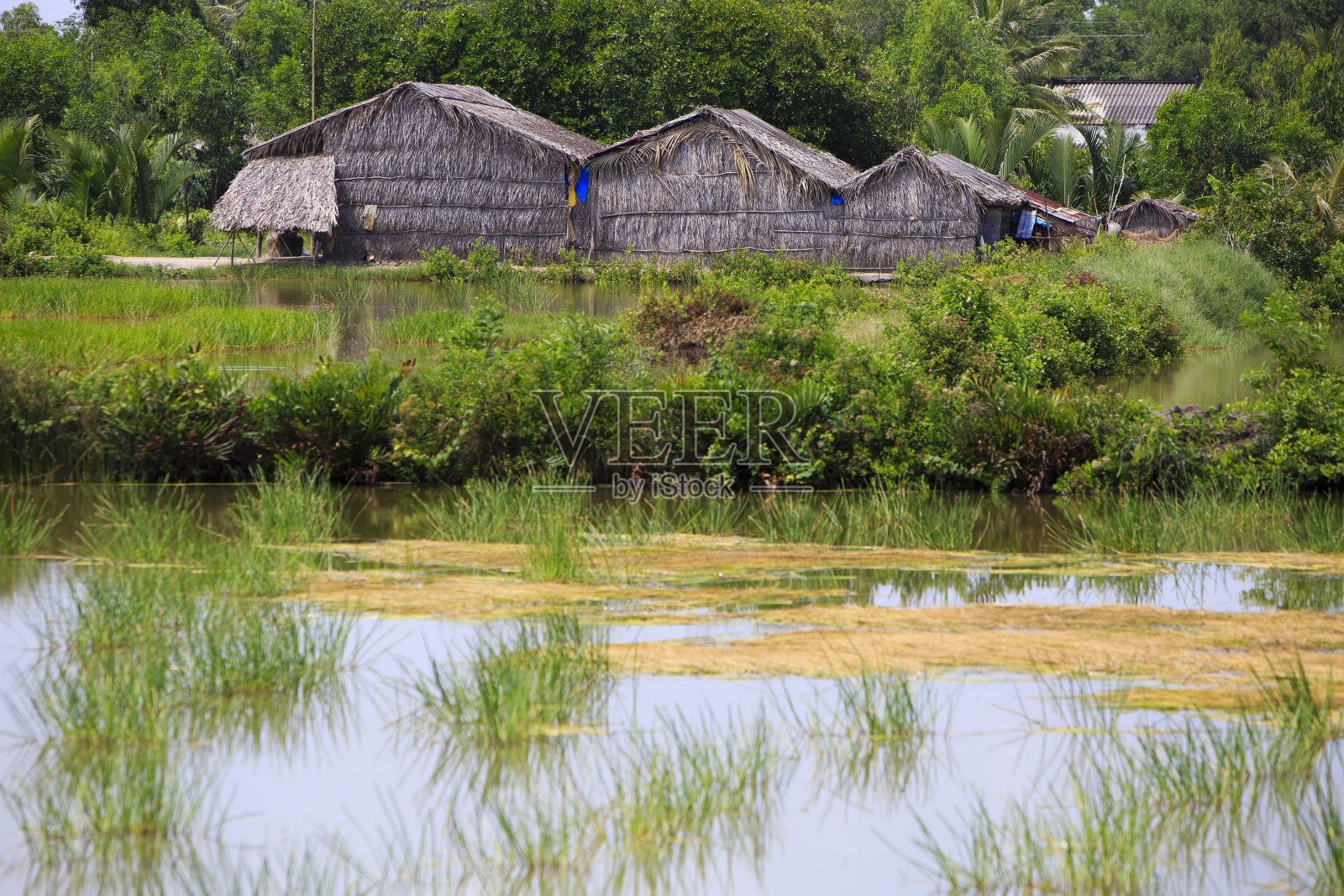 河边的小村庄照片摄影图片